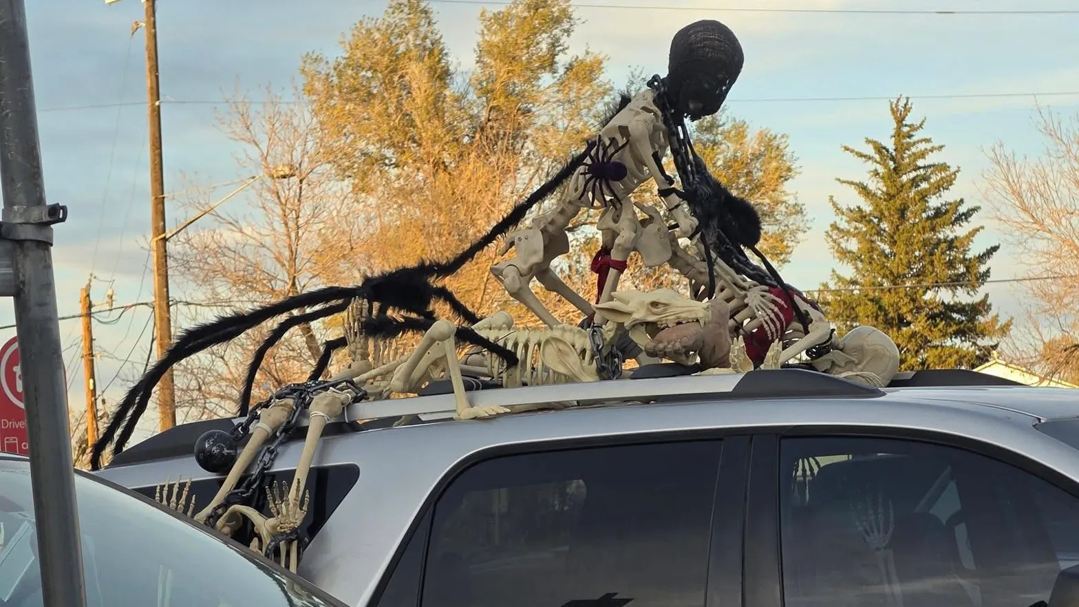 Two skeletons posed in a sex act are seen riding on a GMC SUV in Casper.