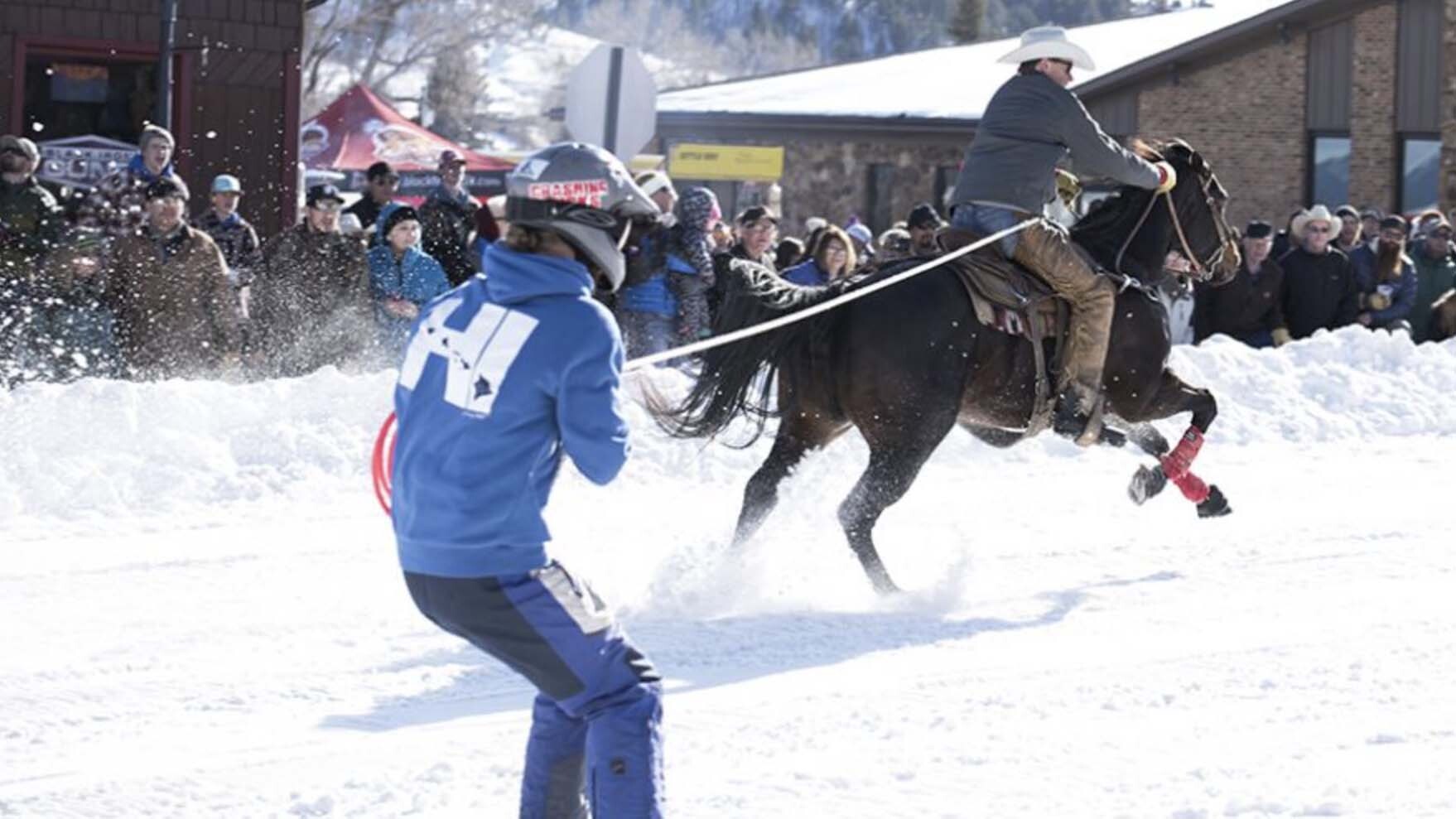 Skijoring 1