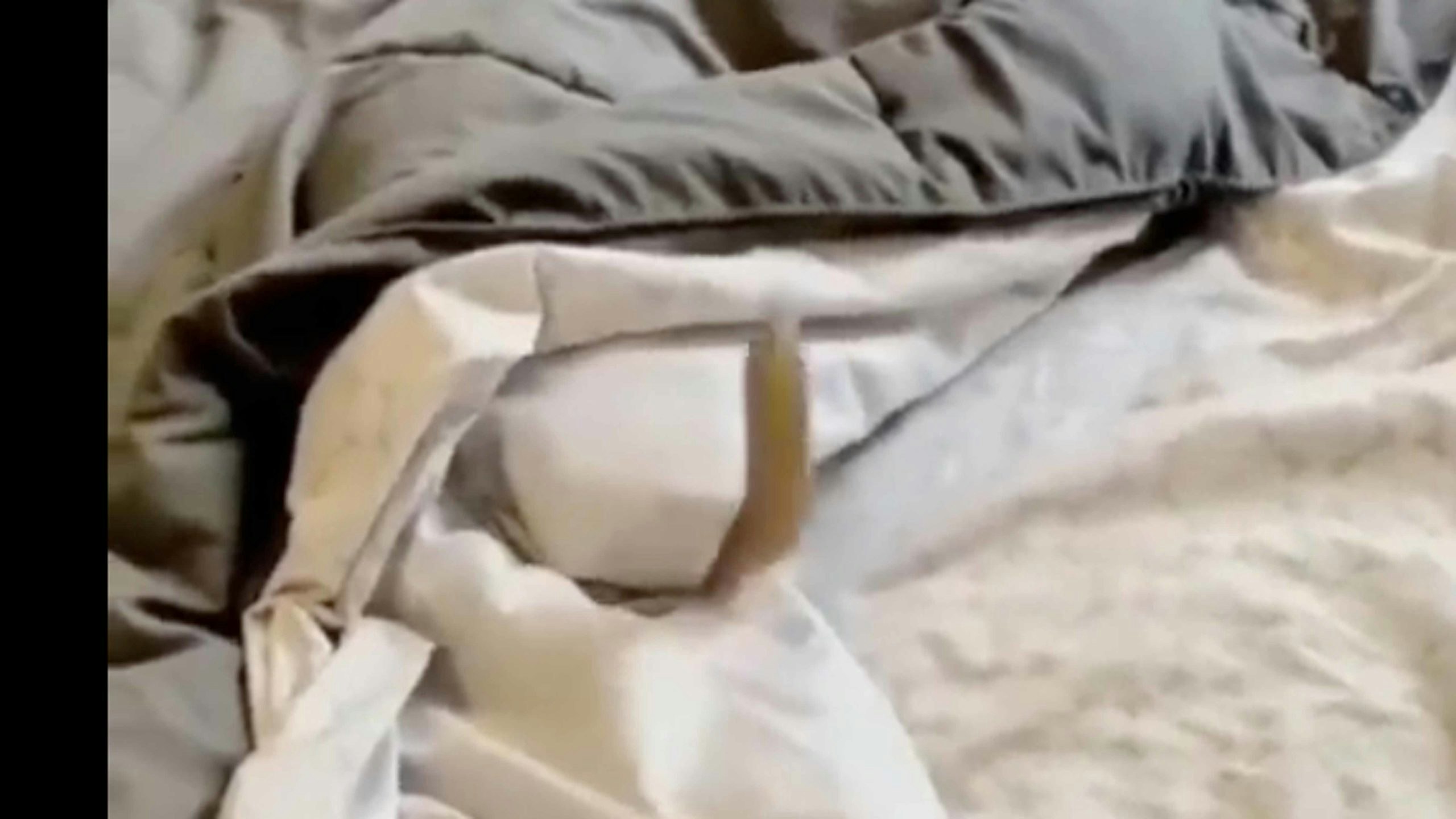 Smile 1 12 23 scaled