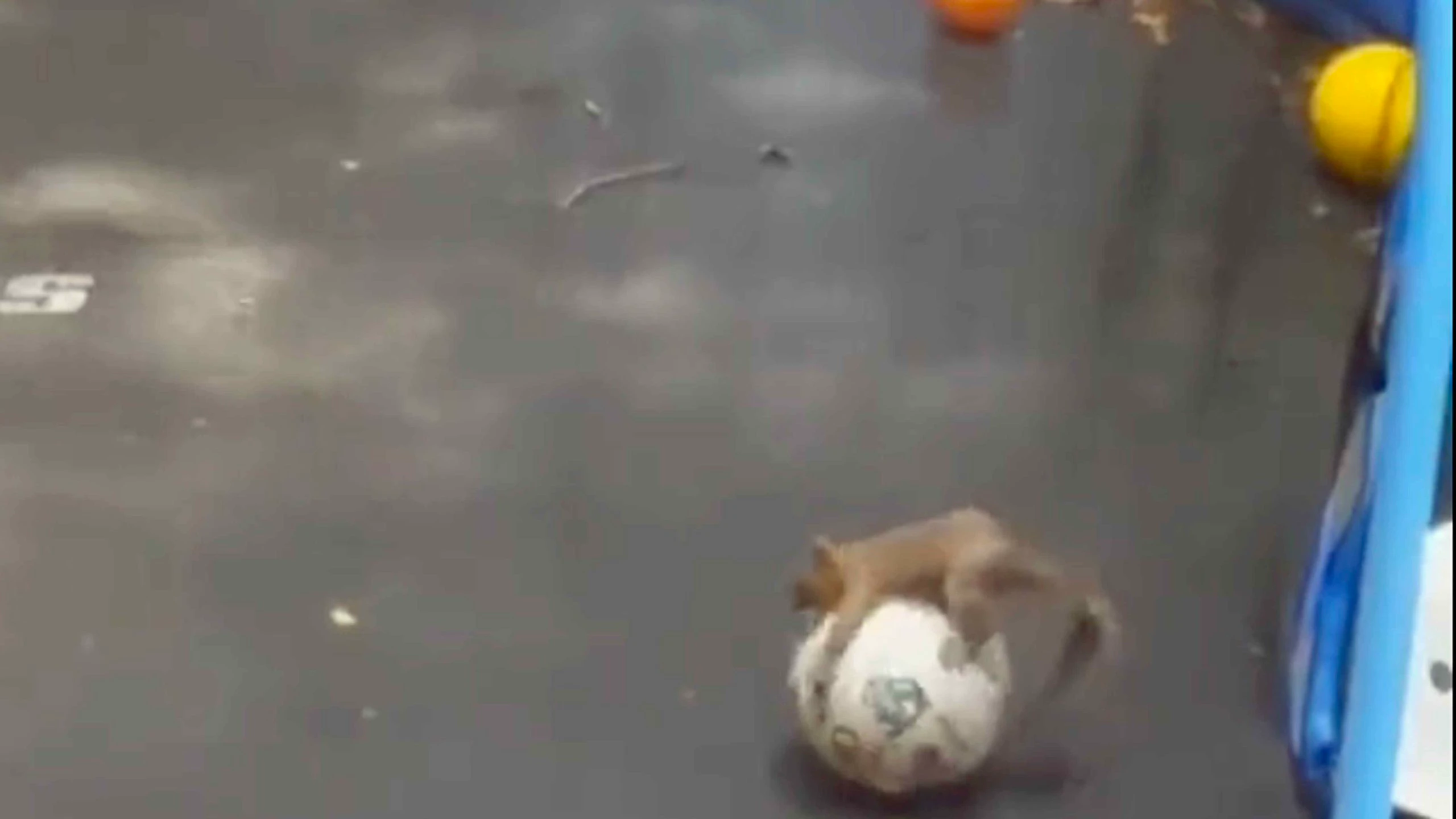 Smile 1 22 23 scaled