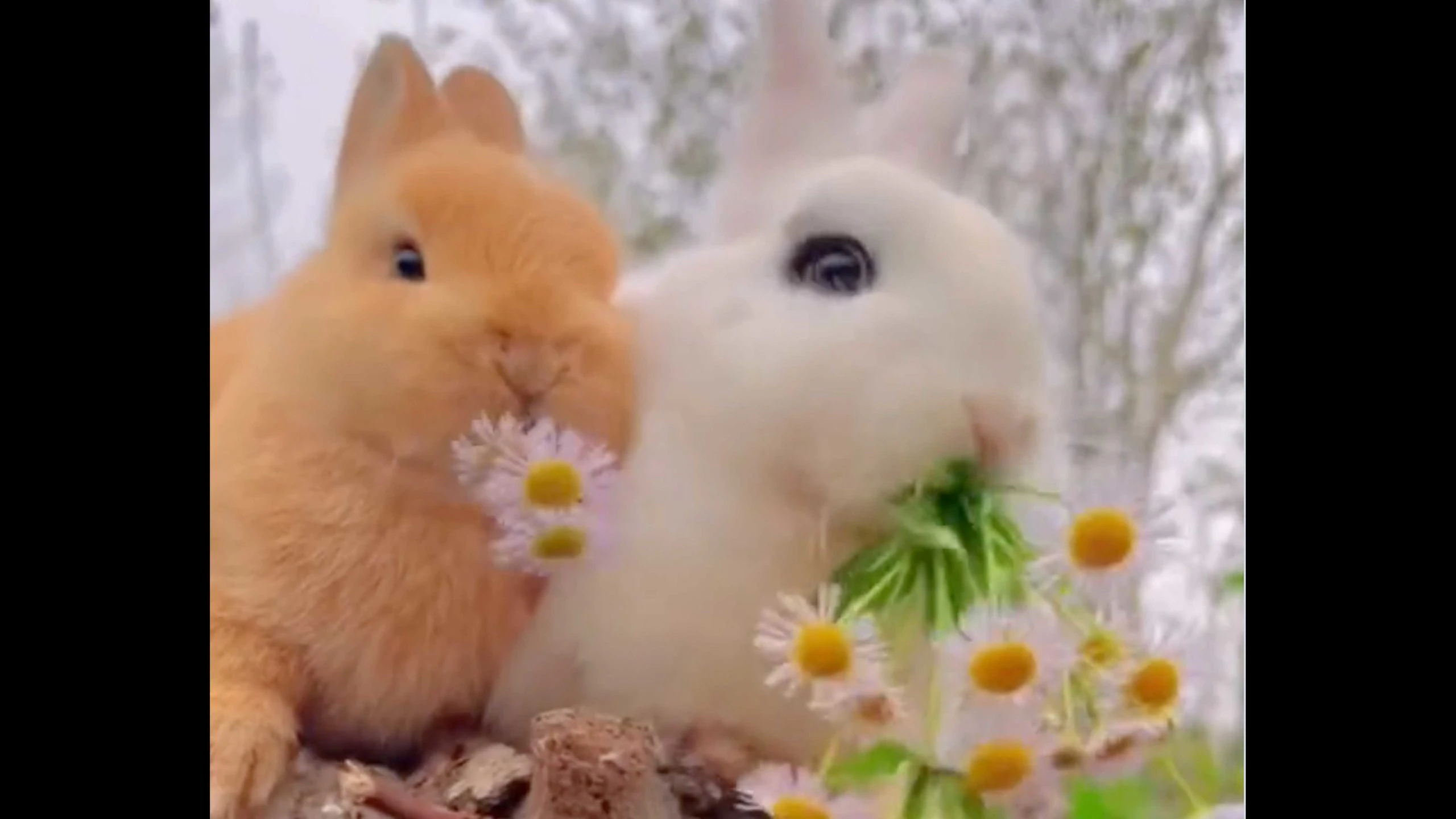 Smile 1 24 23 scaled