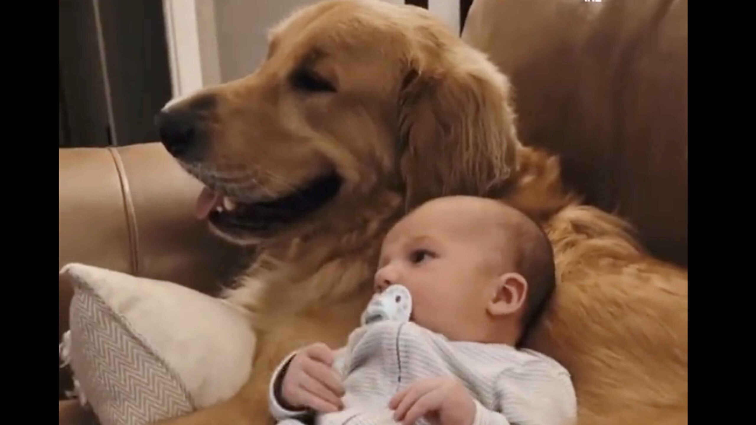 Smile 1 27 23 scaled