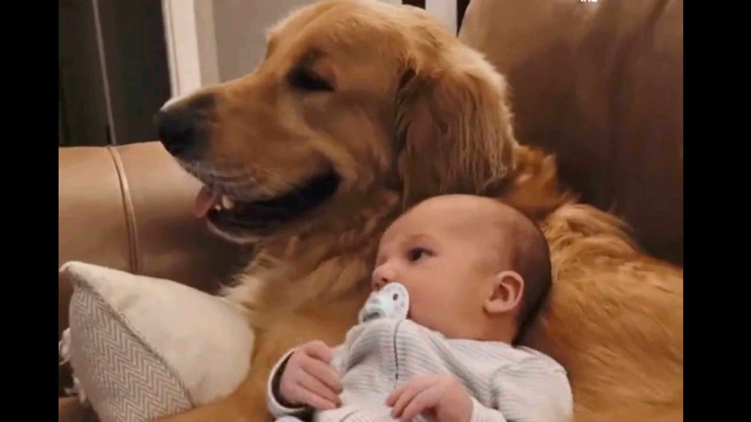 Smile 1 27 23 scaled