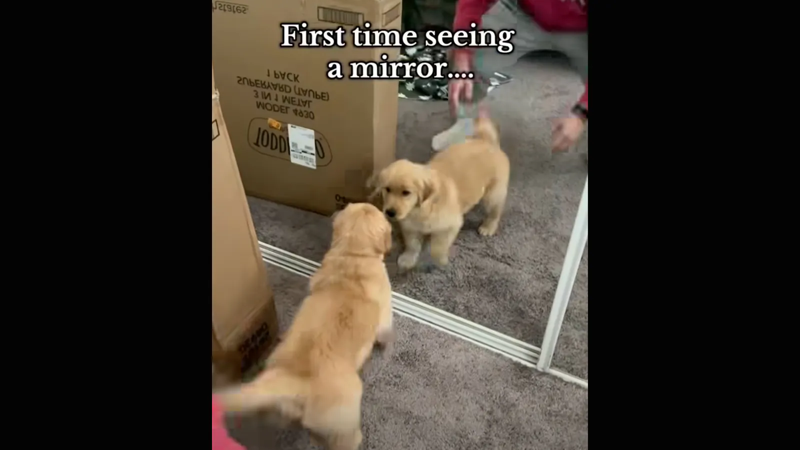 Smile 10 15 26