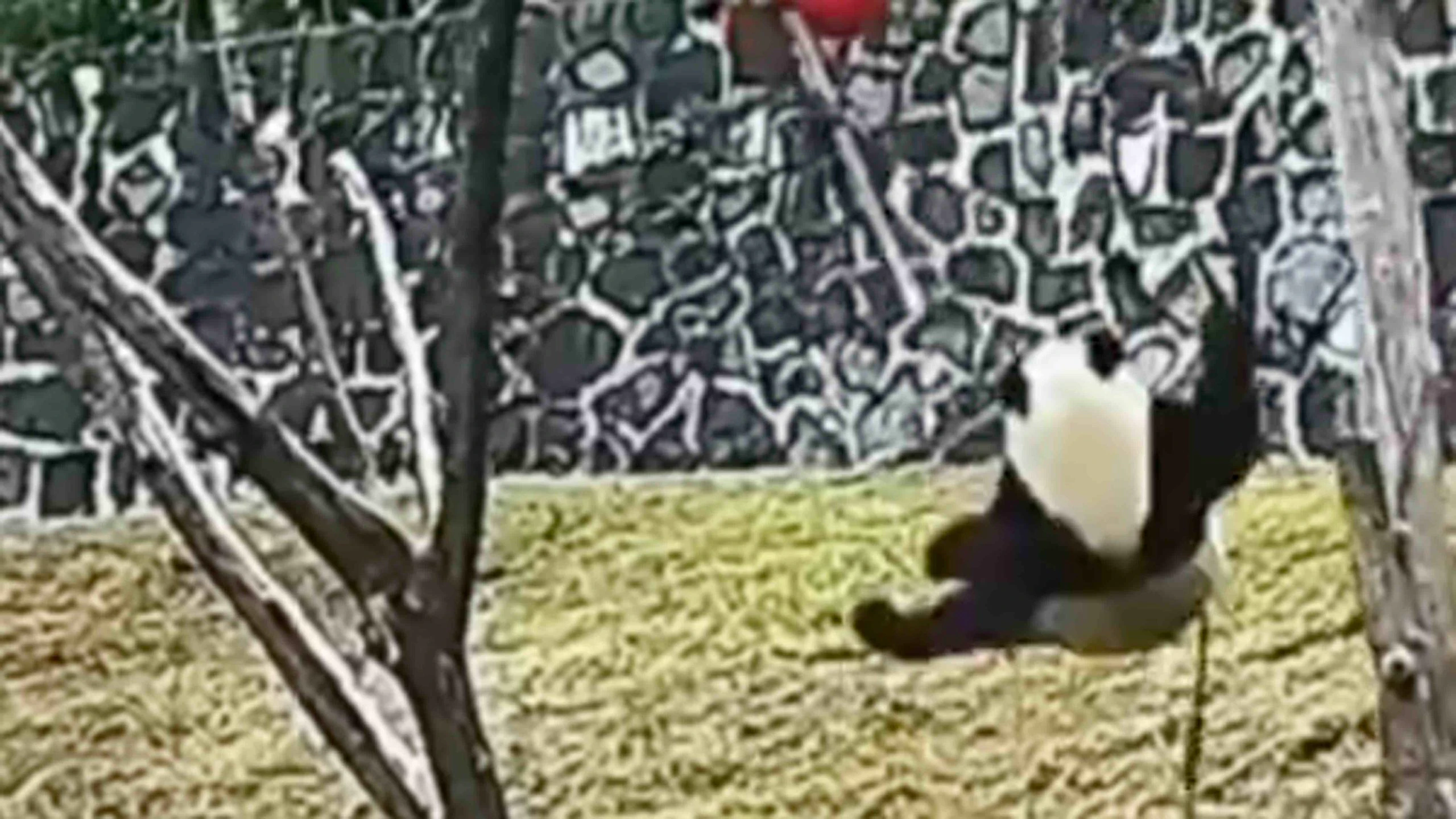 Smile 11 20 22 scaled