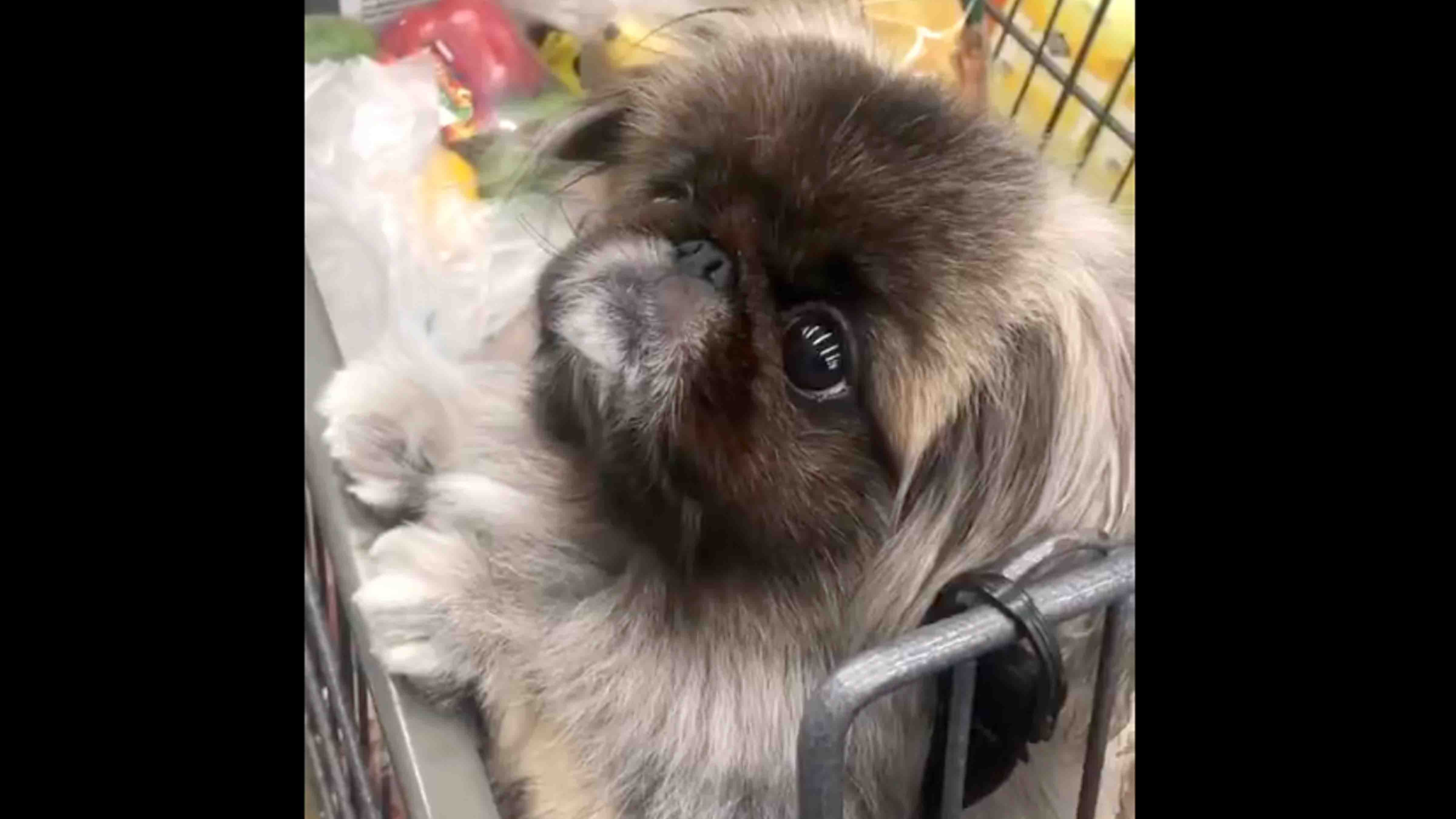 Smile 11 4 25 no play