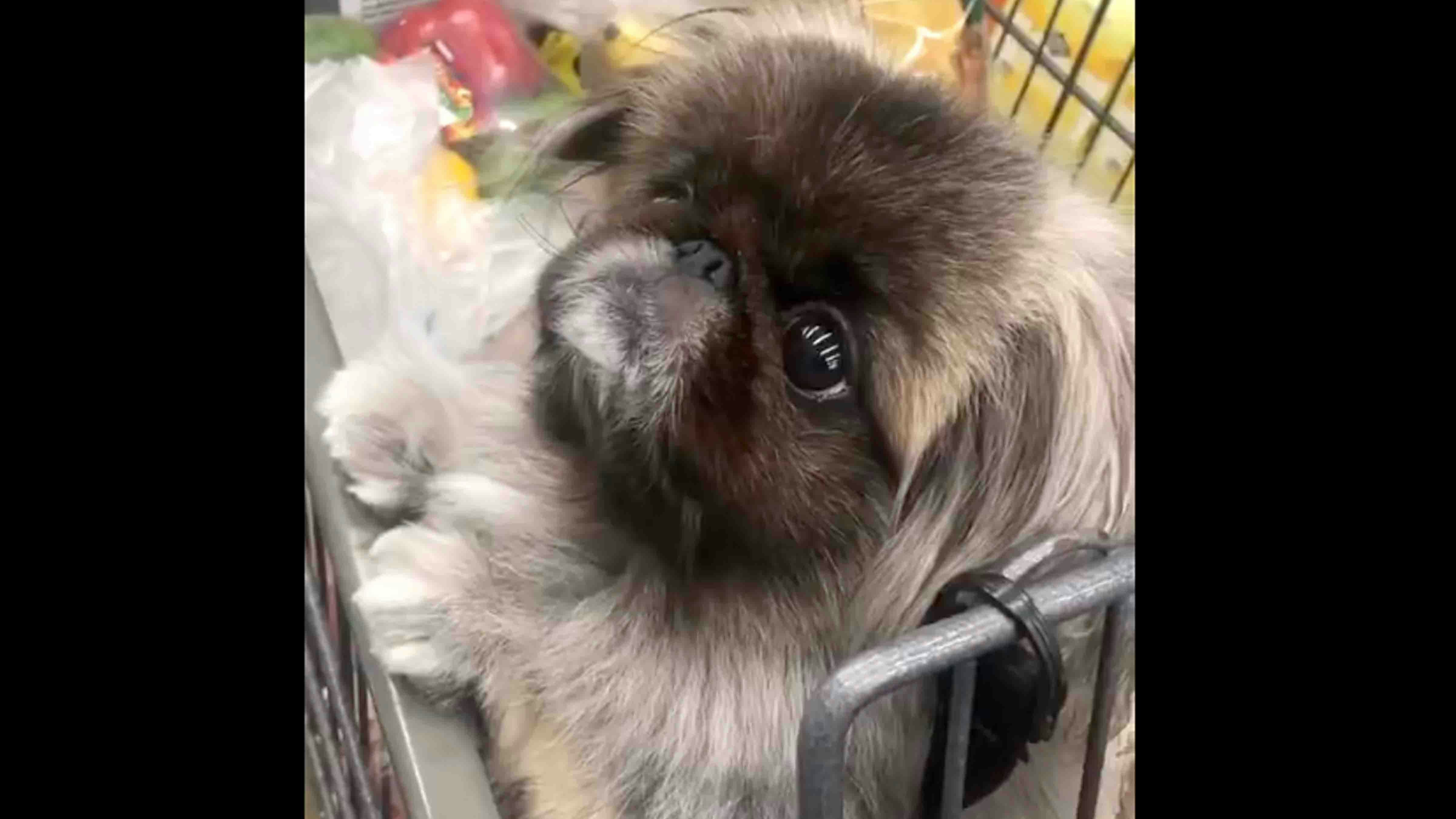 Smile 11 4 25 no play