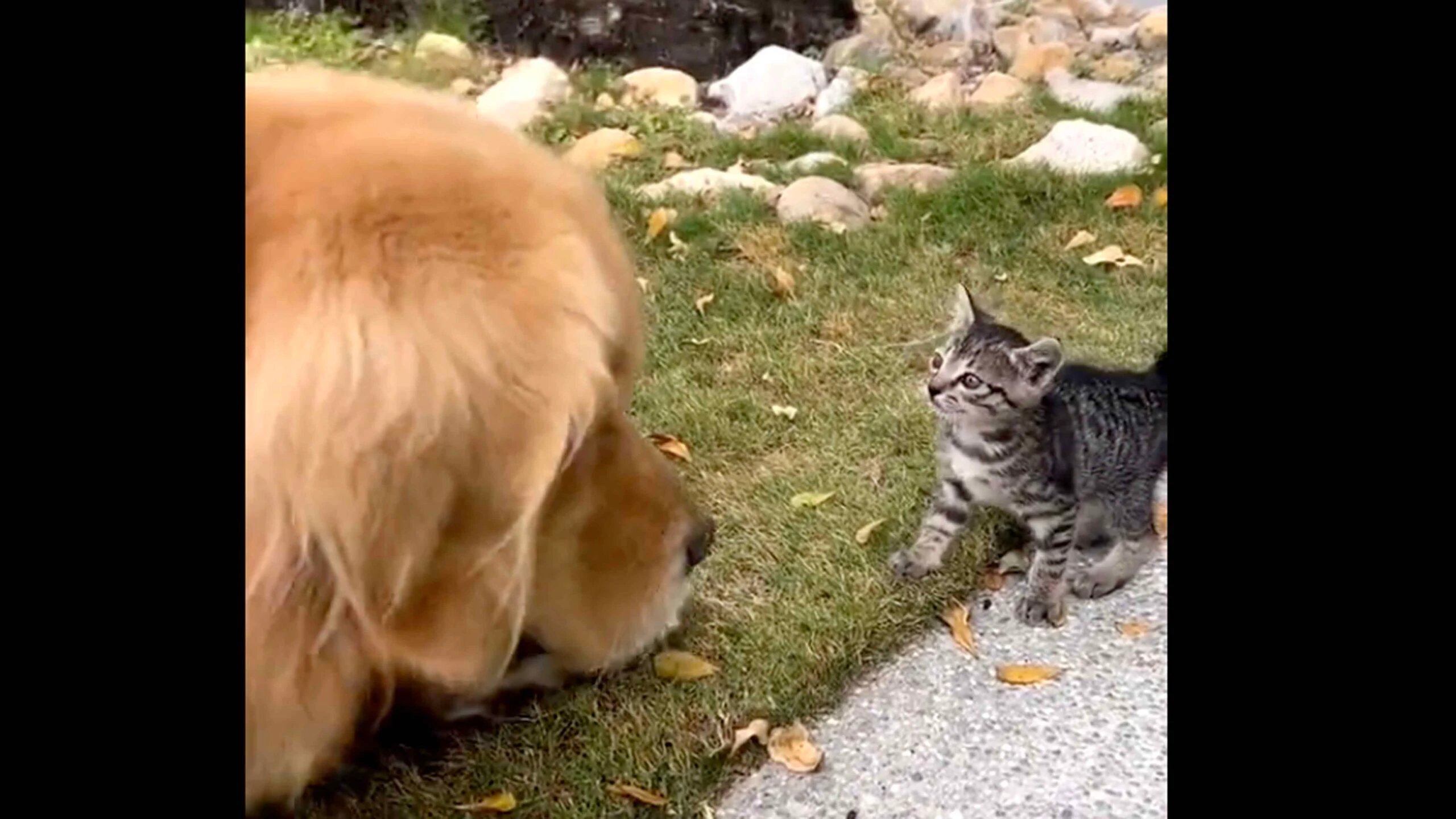 Smile 2 14 23 scaled