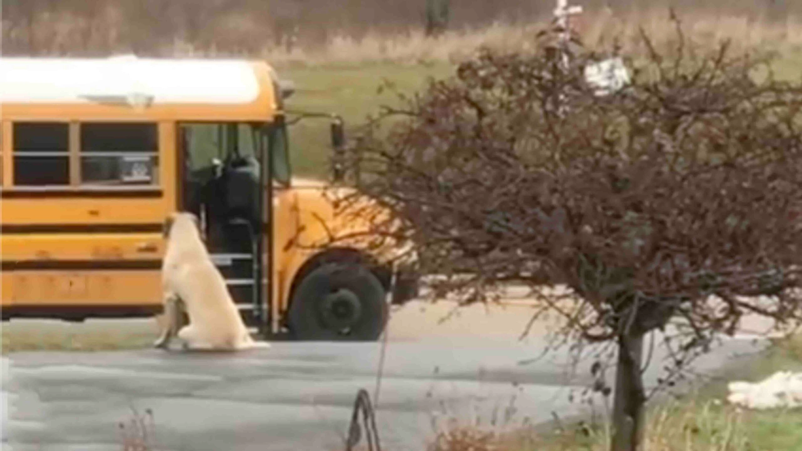 Smile 3 10 23 scaled