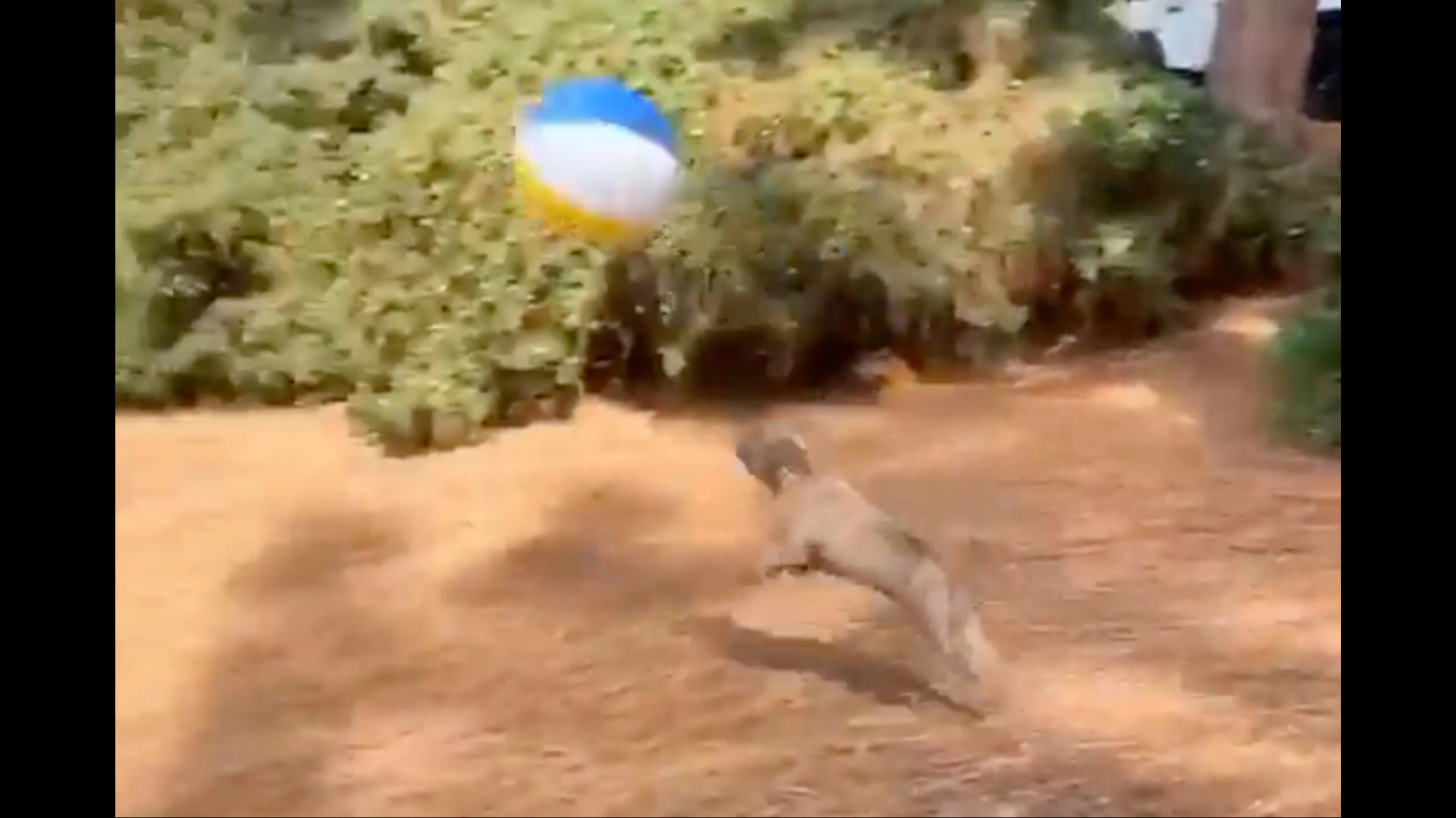 Smile 3 14 23 scaled