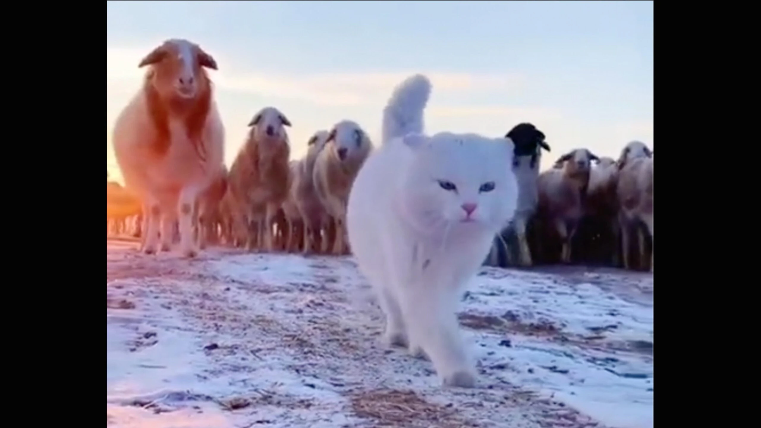 Smile 3 22 23 scaled