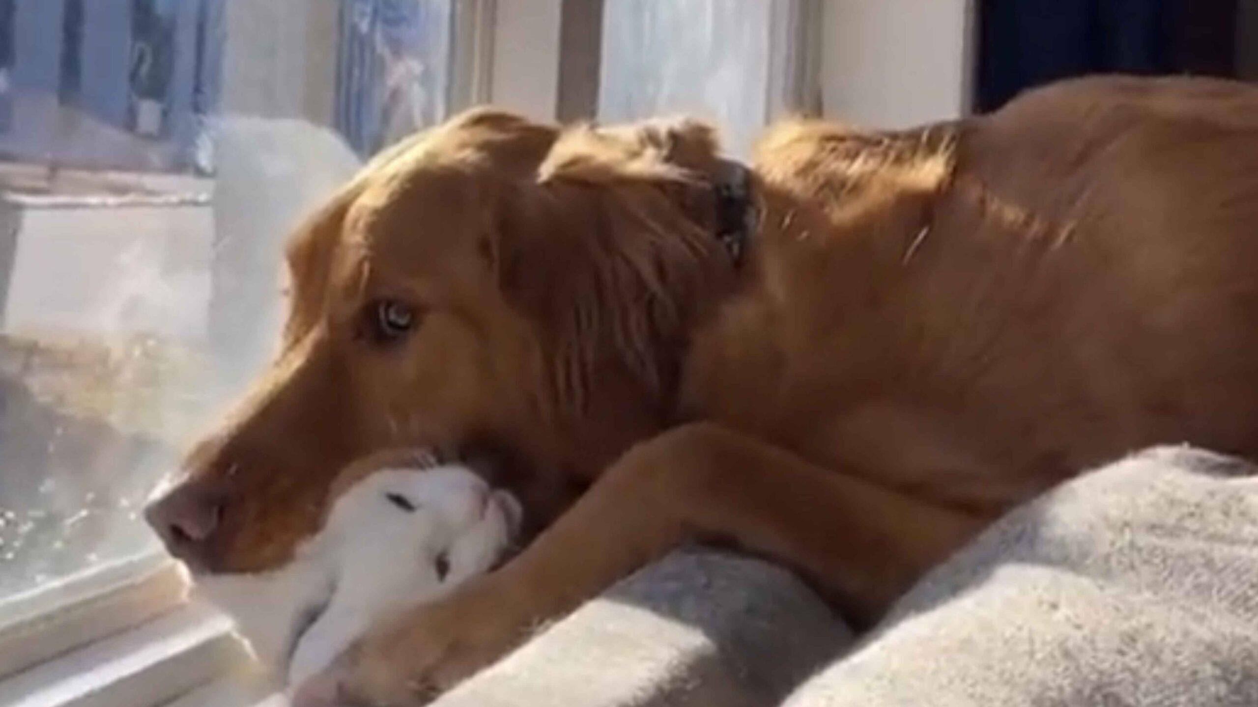 Smile 3 28 23 scaled