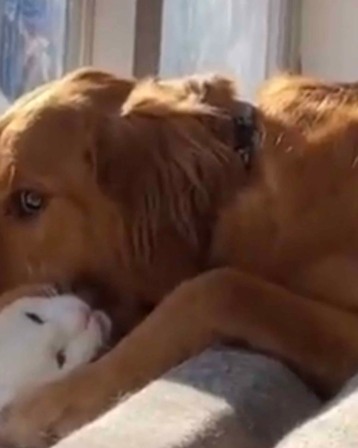 Smile 3 28 23 scaled