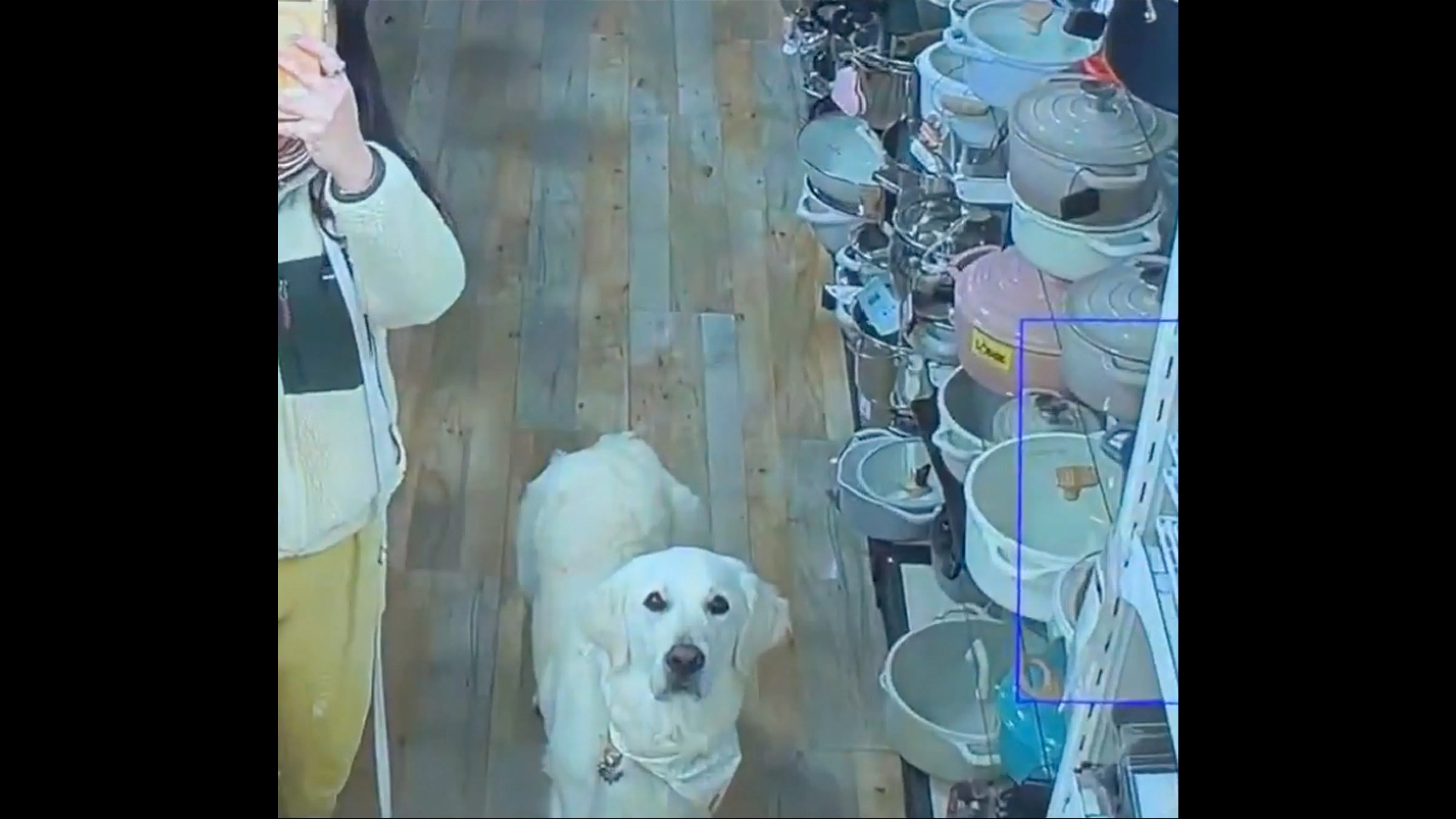 Smile 9 21 26