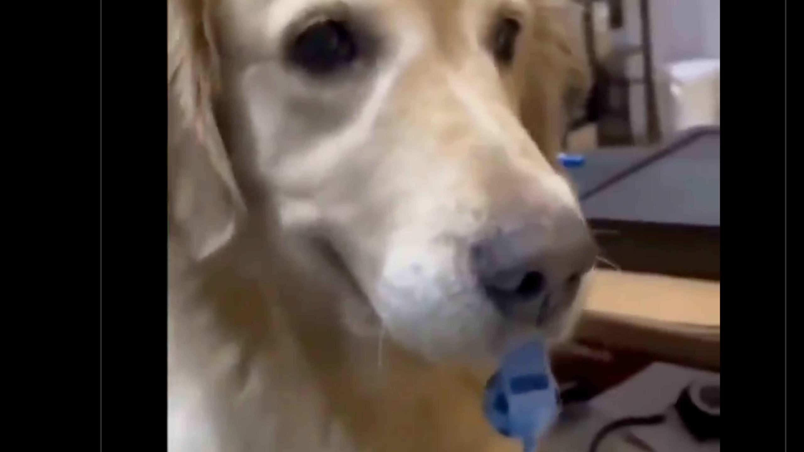 Smile 9 27 22 no play scaled