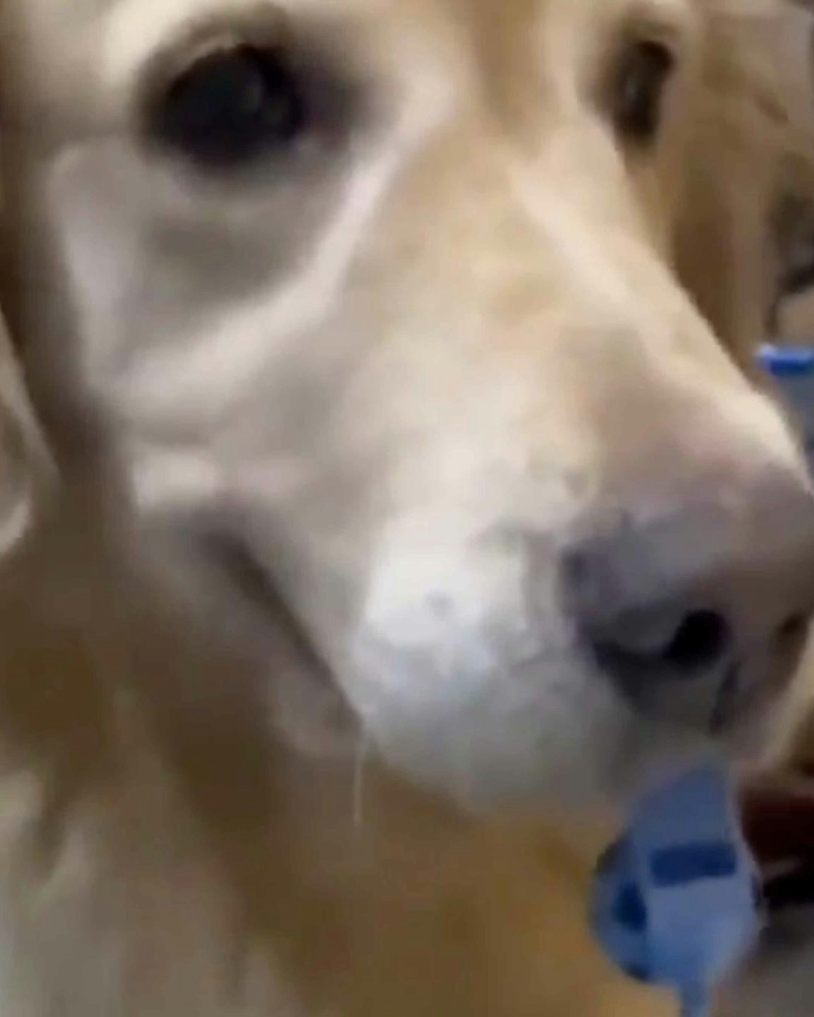 Smile 9 27 22 no play scaled