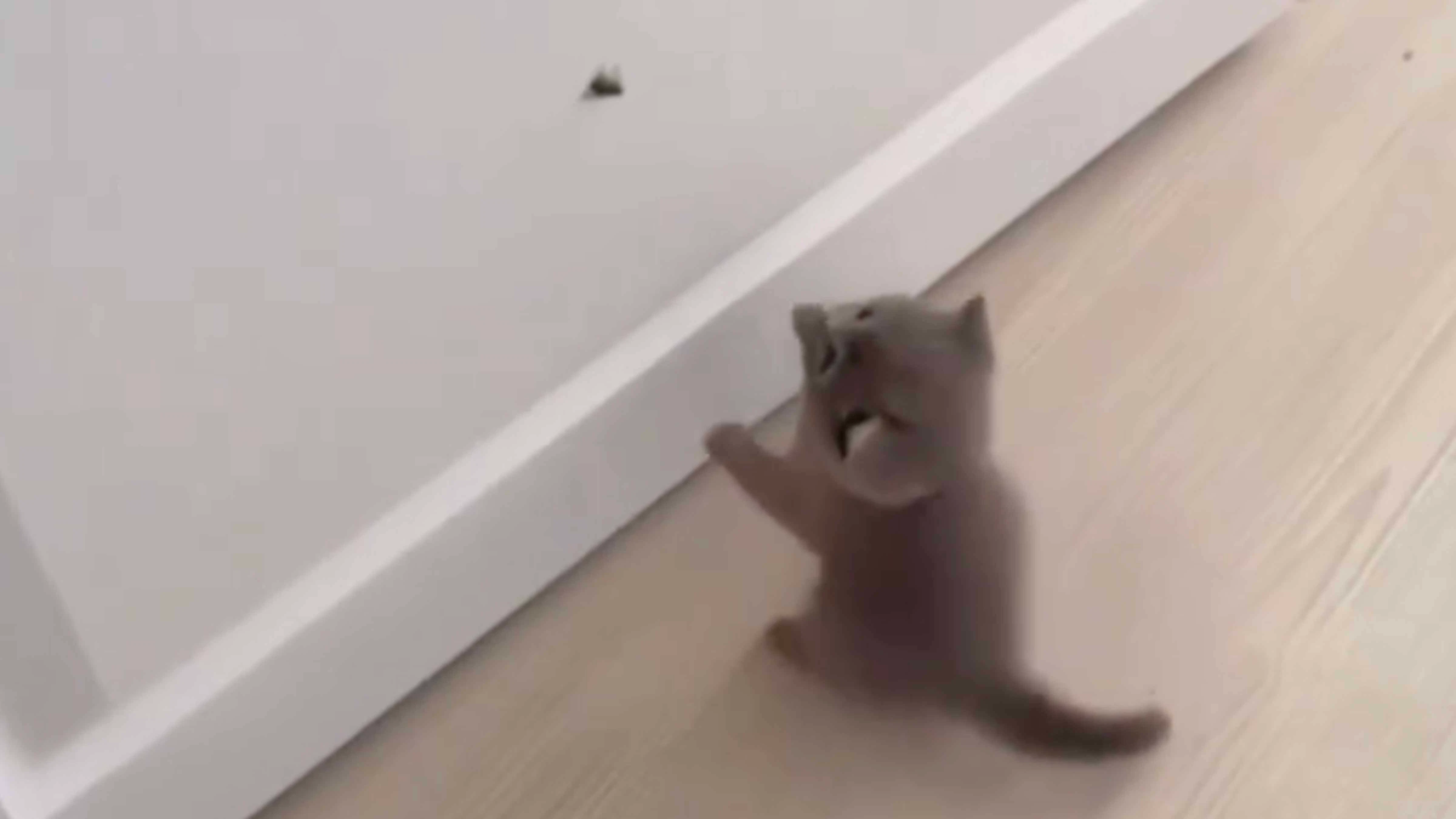 Smile no play 1 20 24