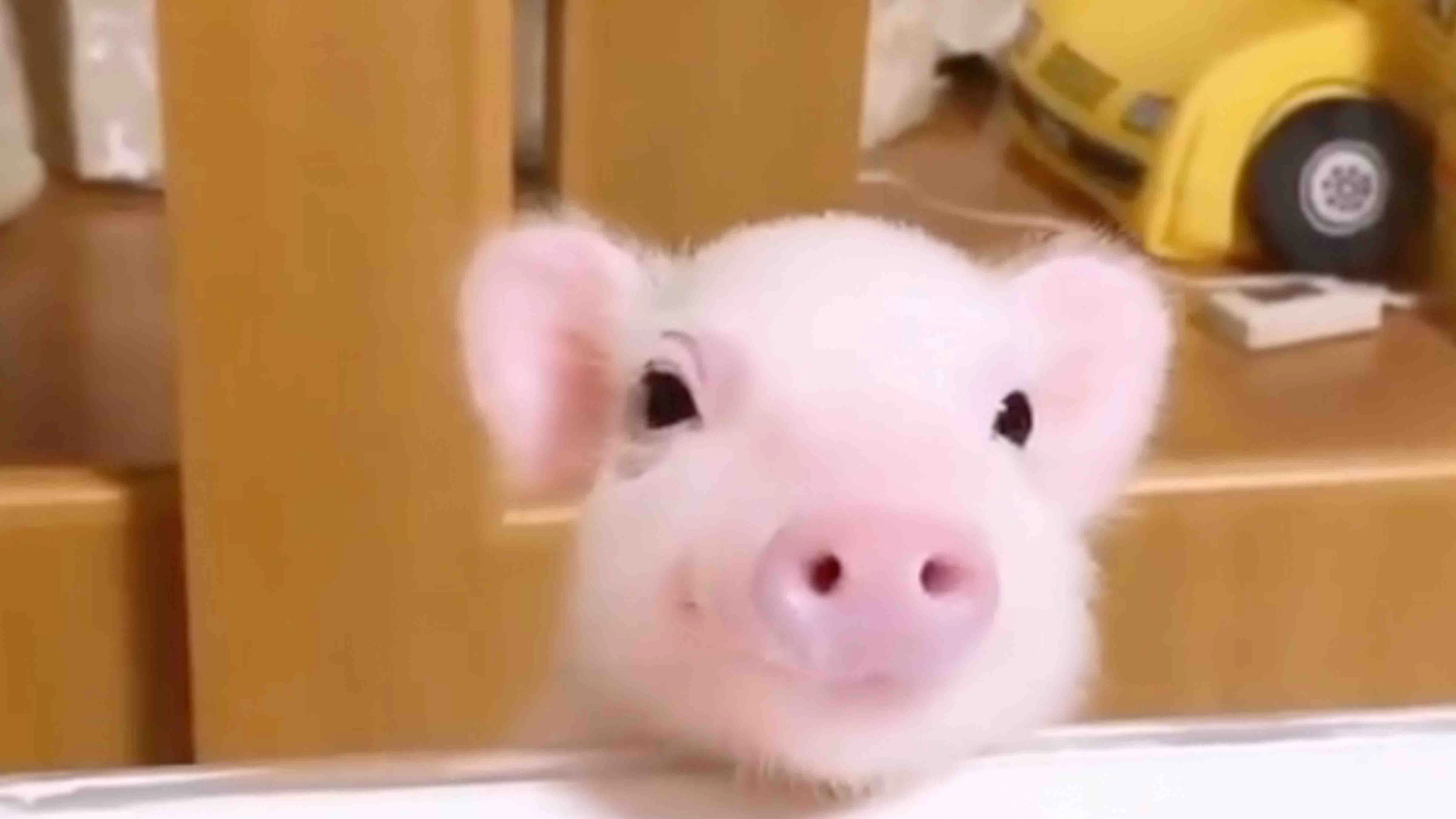 Smile no play 12 18 23