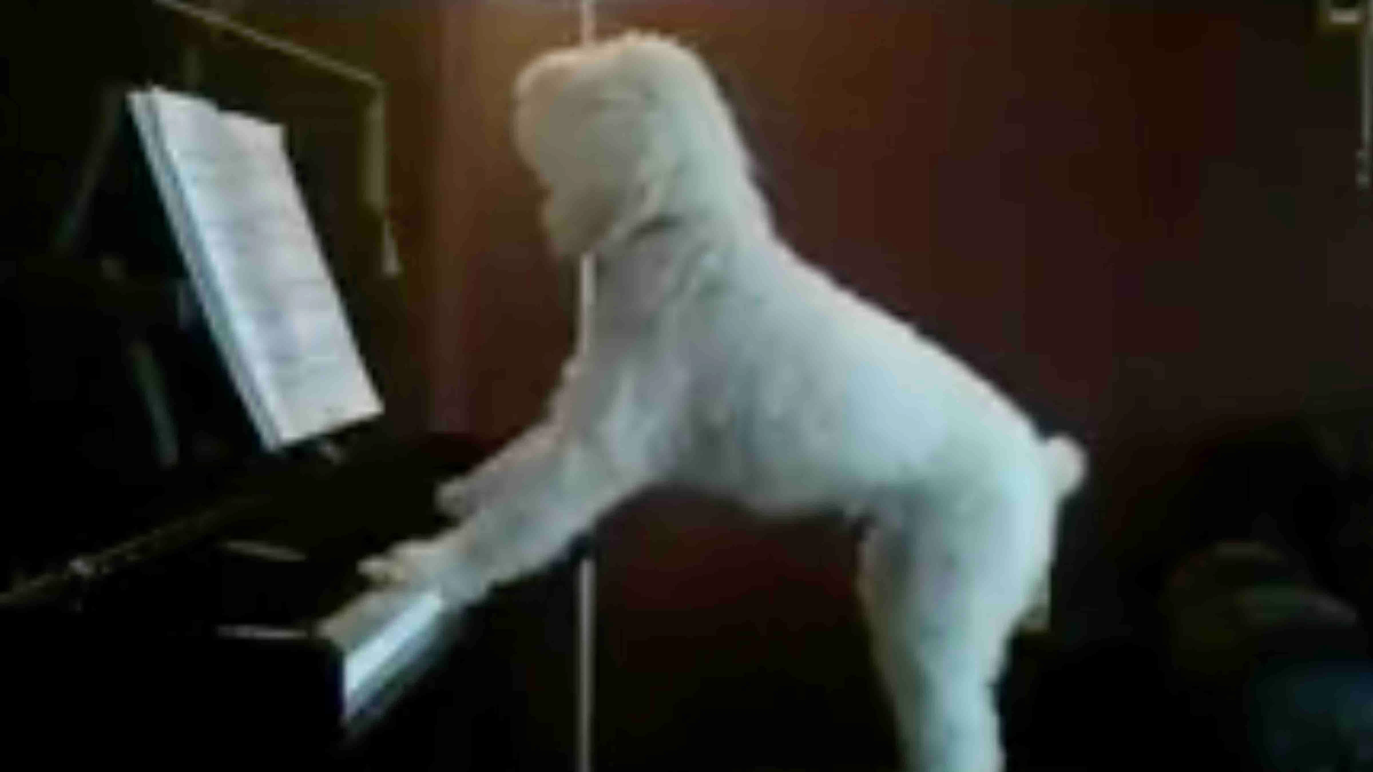 Smile no play 2 5 24