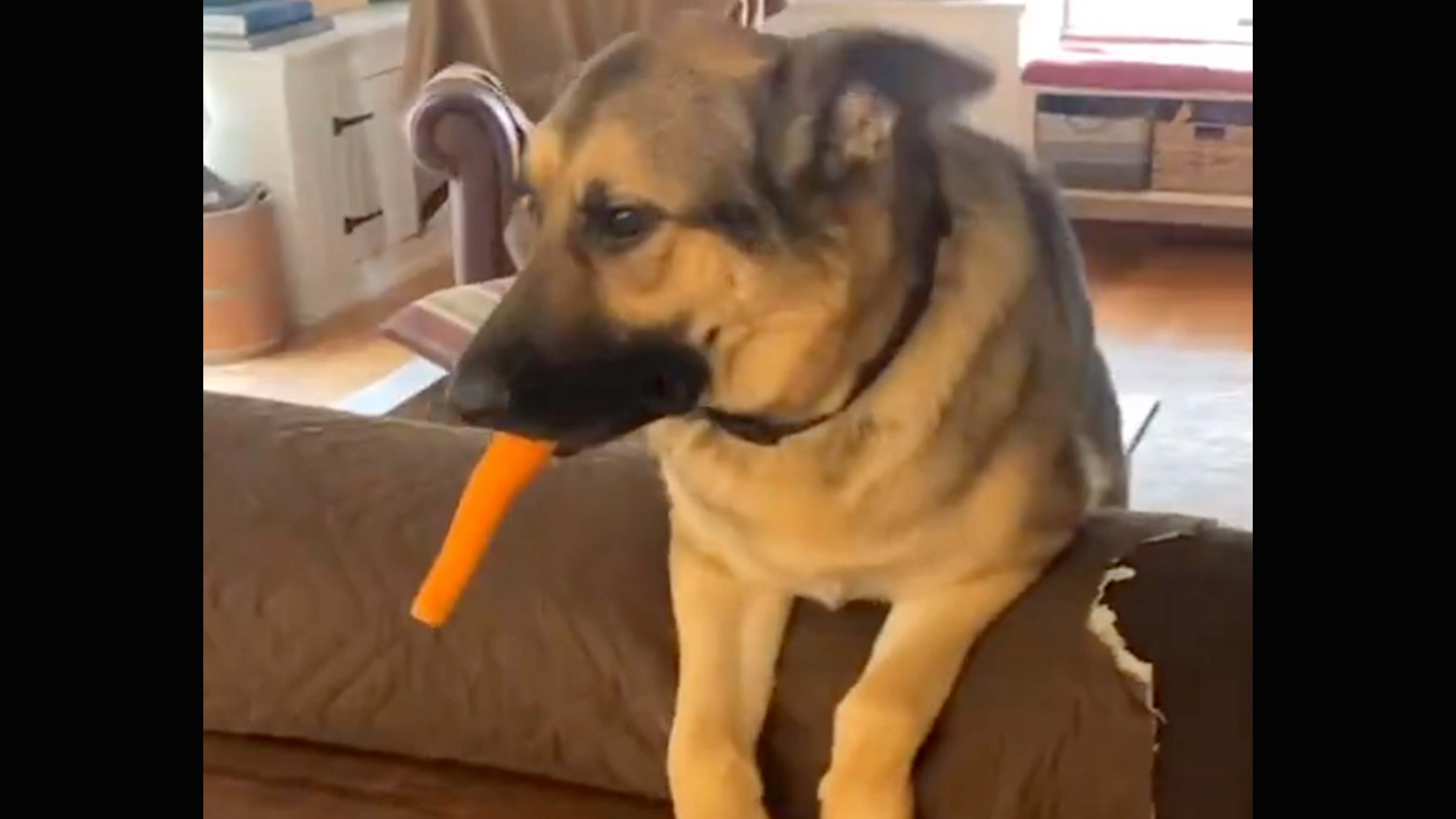 Smile no play 4 18 26