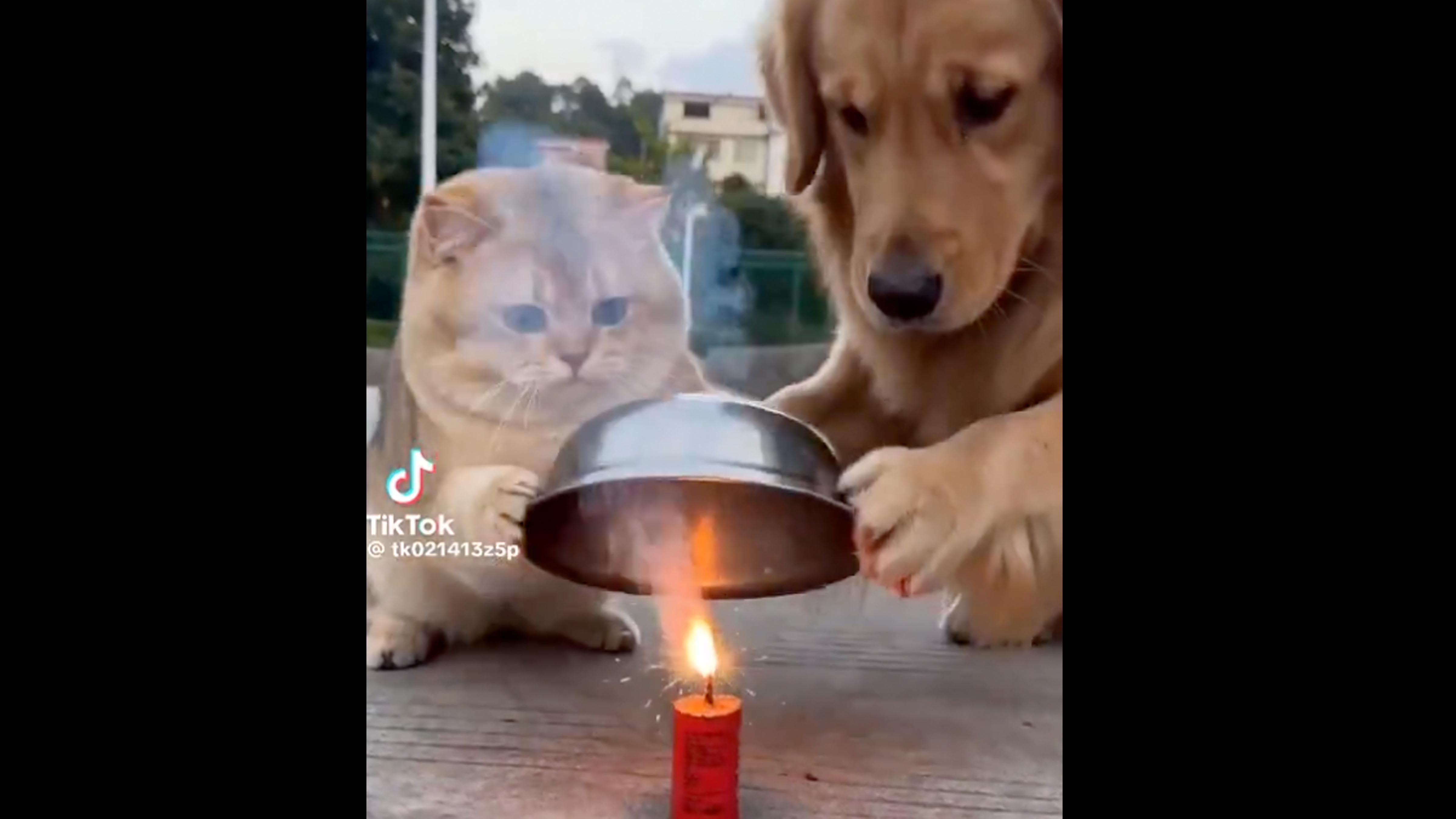 Smile no play 4 2 26