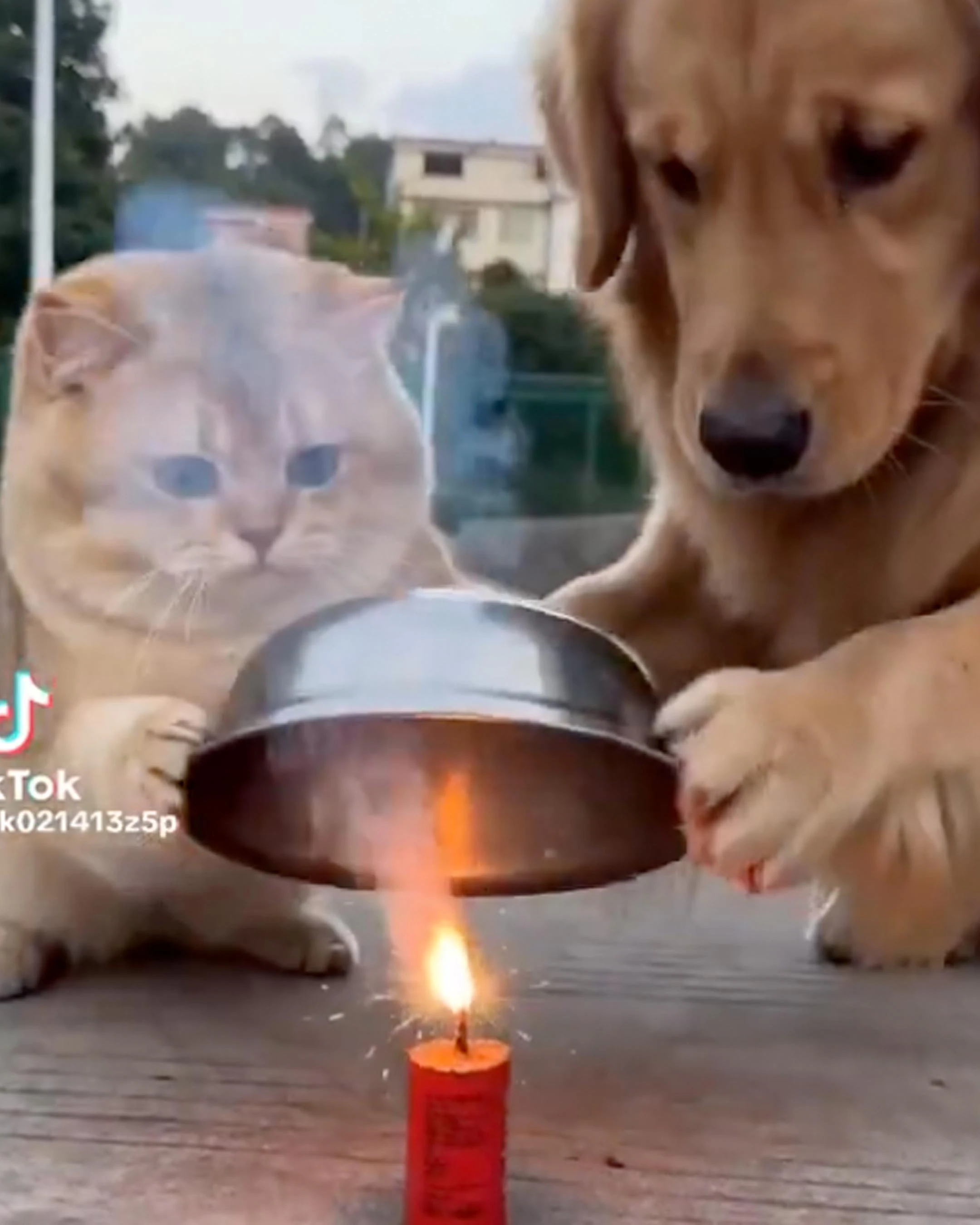 Smile no play 4 2 26