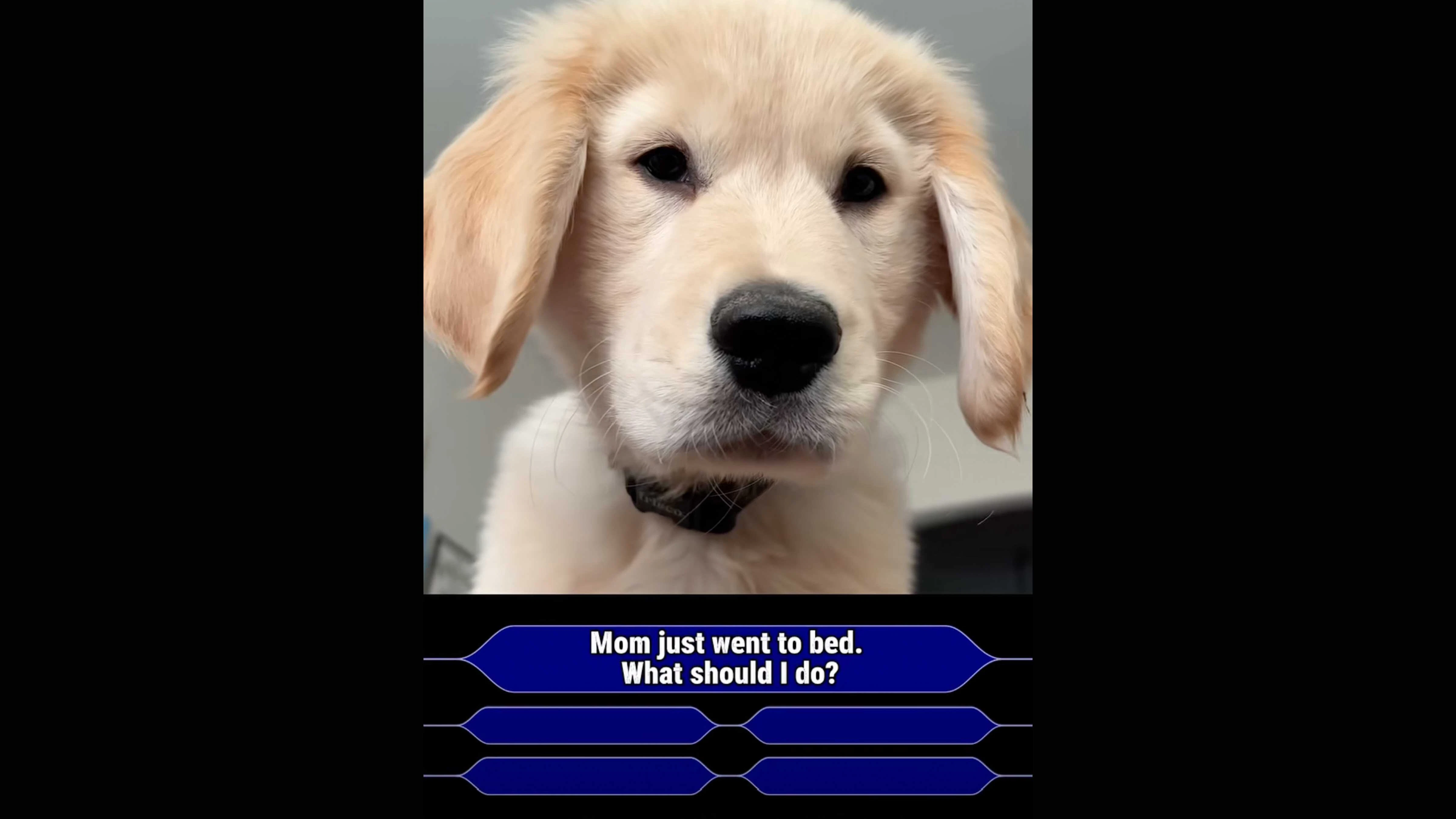 Smile no play 4 21 26