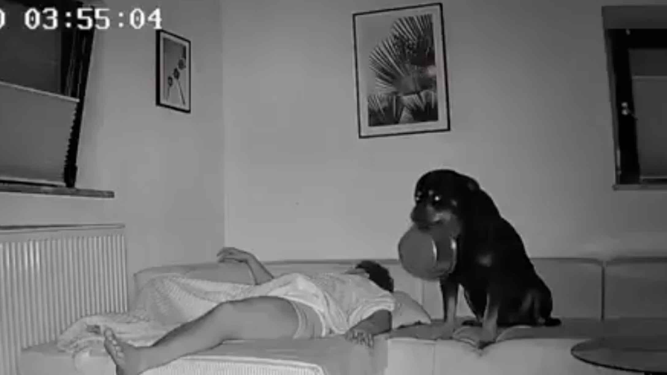 Smile no play 6 21 25