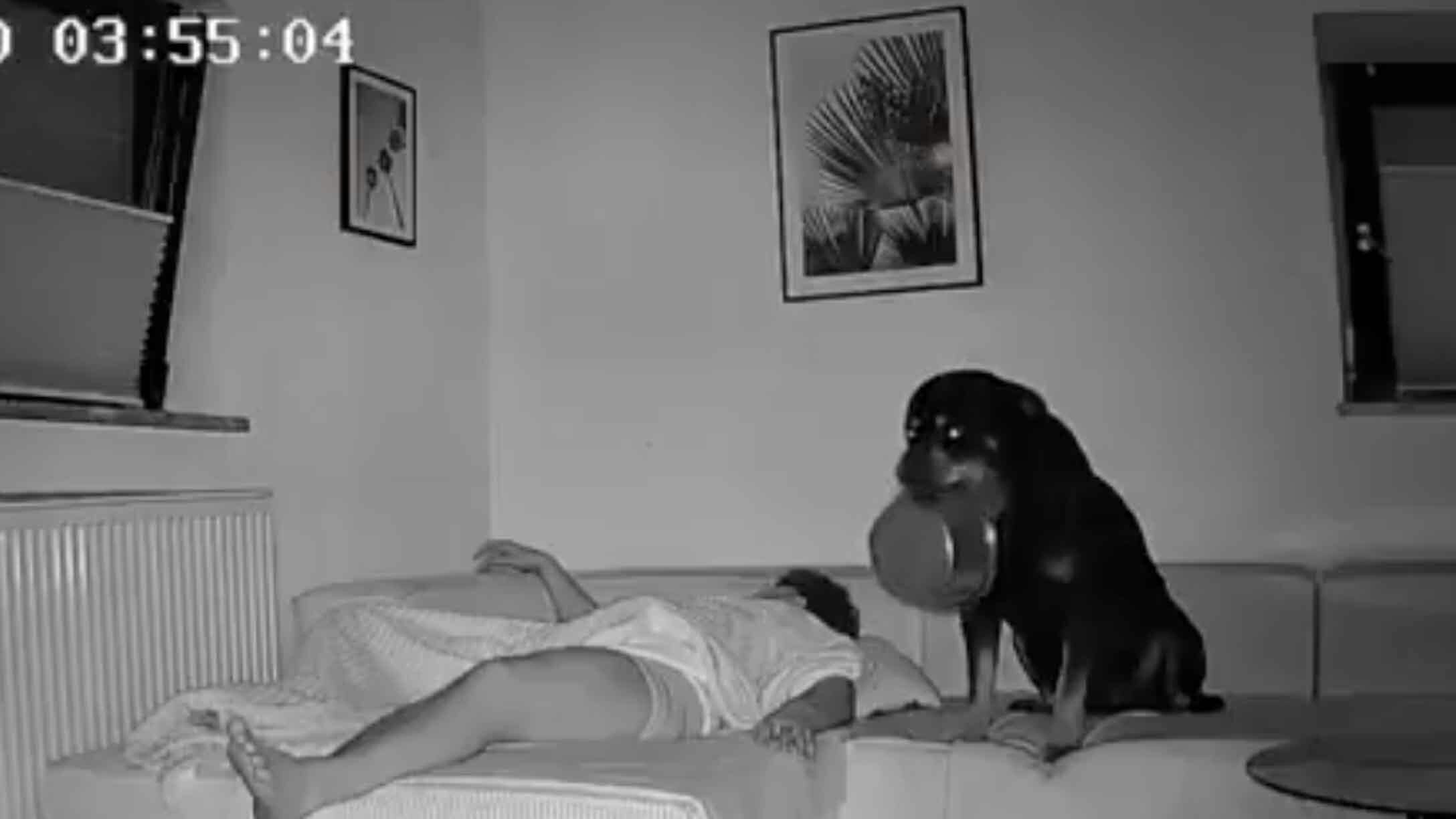 Smile no play 6 21 25