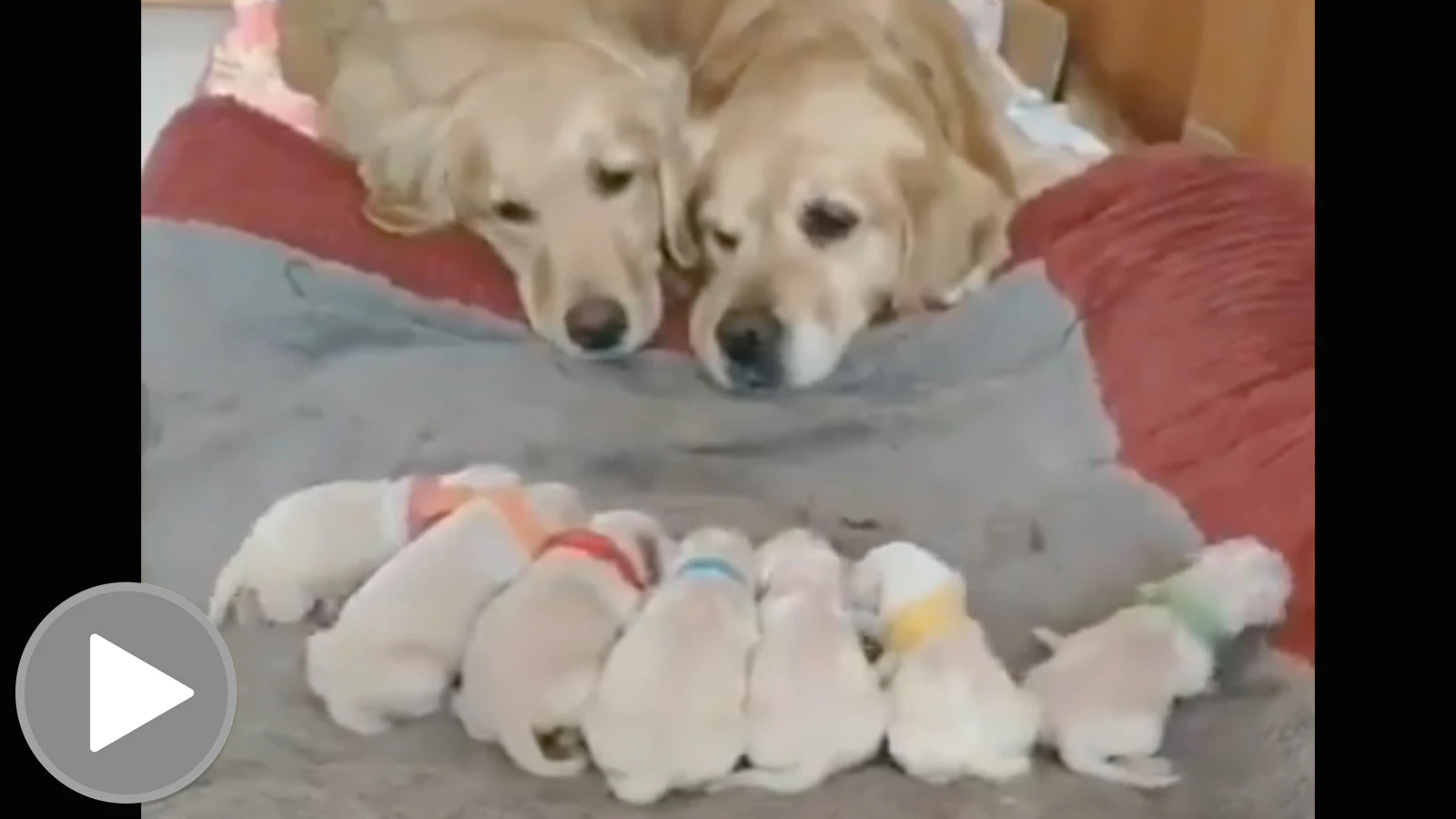 Smile play 5 11 23 play