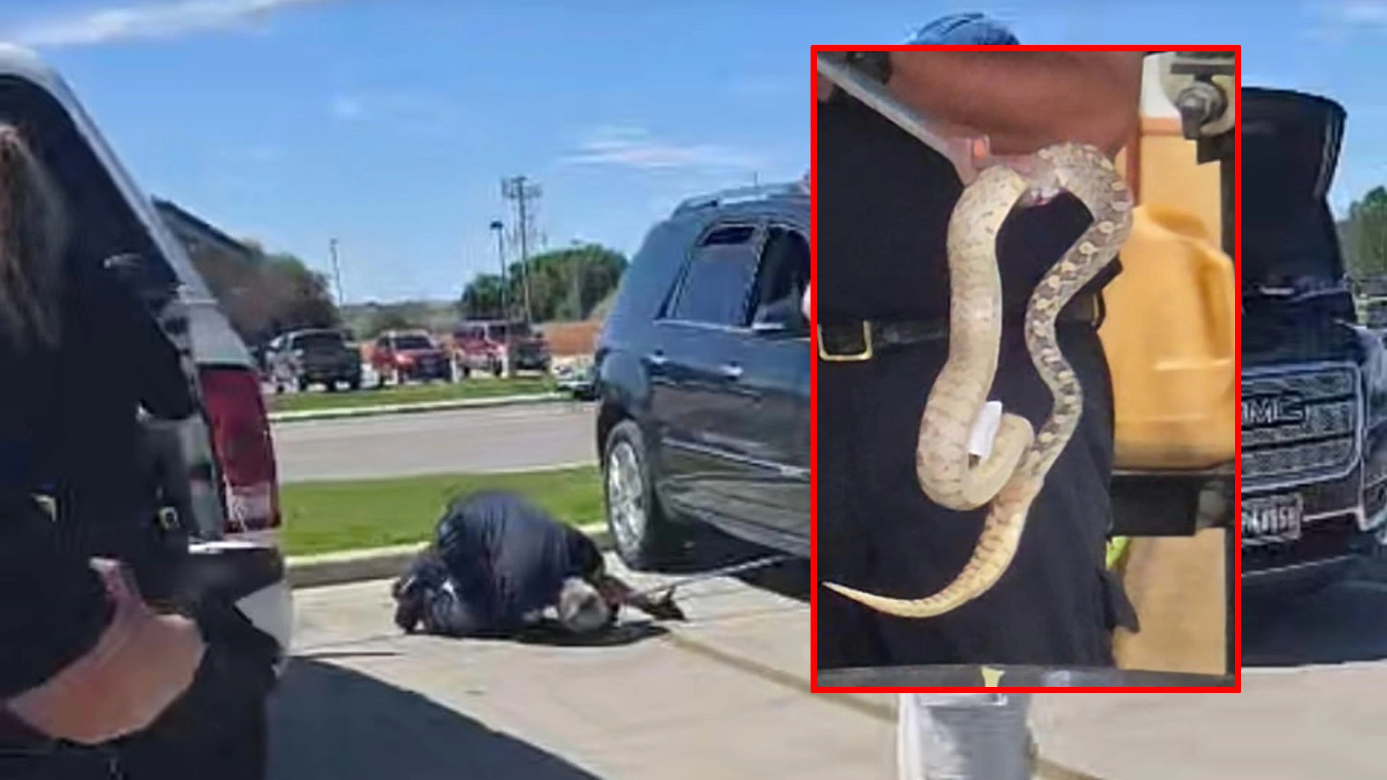 After a 3-foot bull snake slithered into the frame of a Riverton woman's car at the bank drive-through Monday, she was tempted to just set her car on fire. "Anything that slithers and doesn’t have legs is the devil, in my book,” she said.