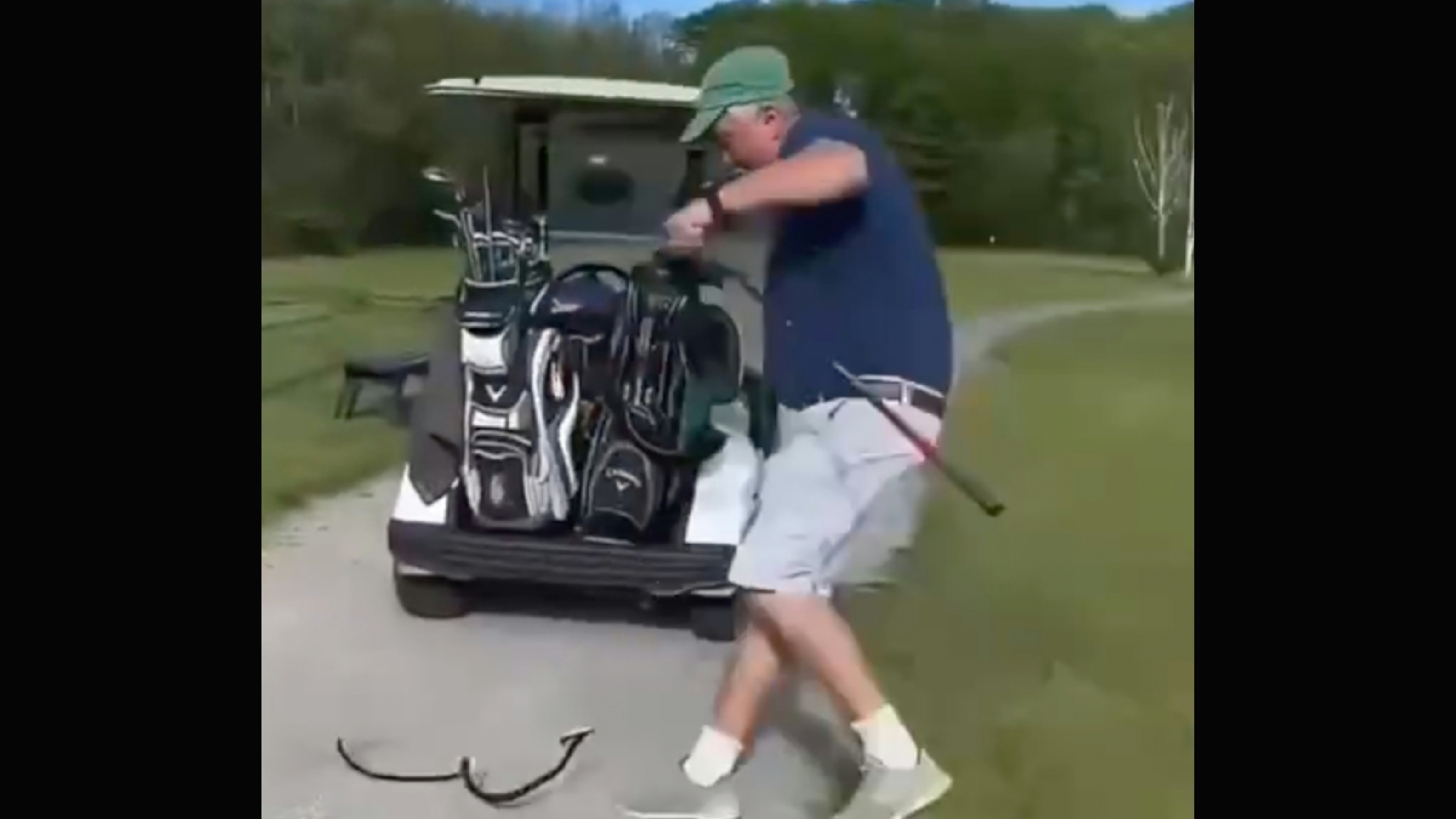 Snake pranks no play 11 25 25