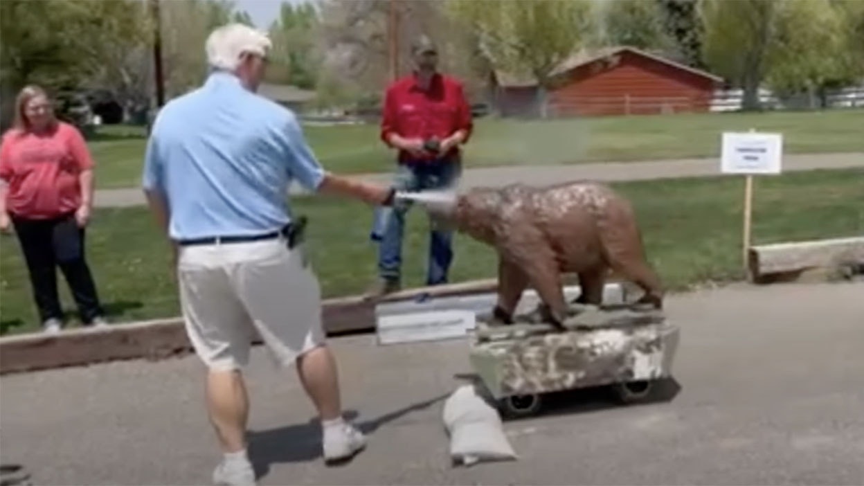 Sniffin bear 6 18 23