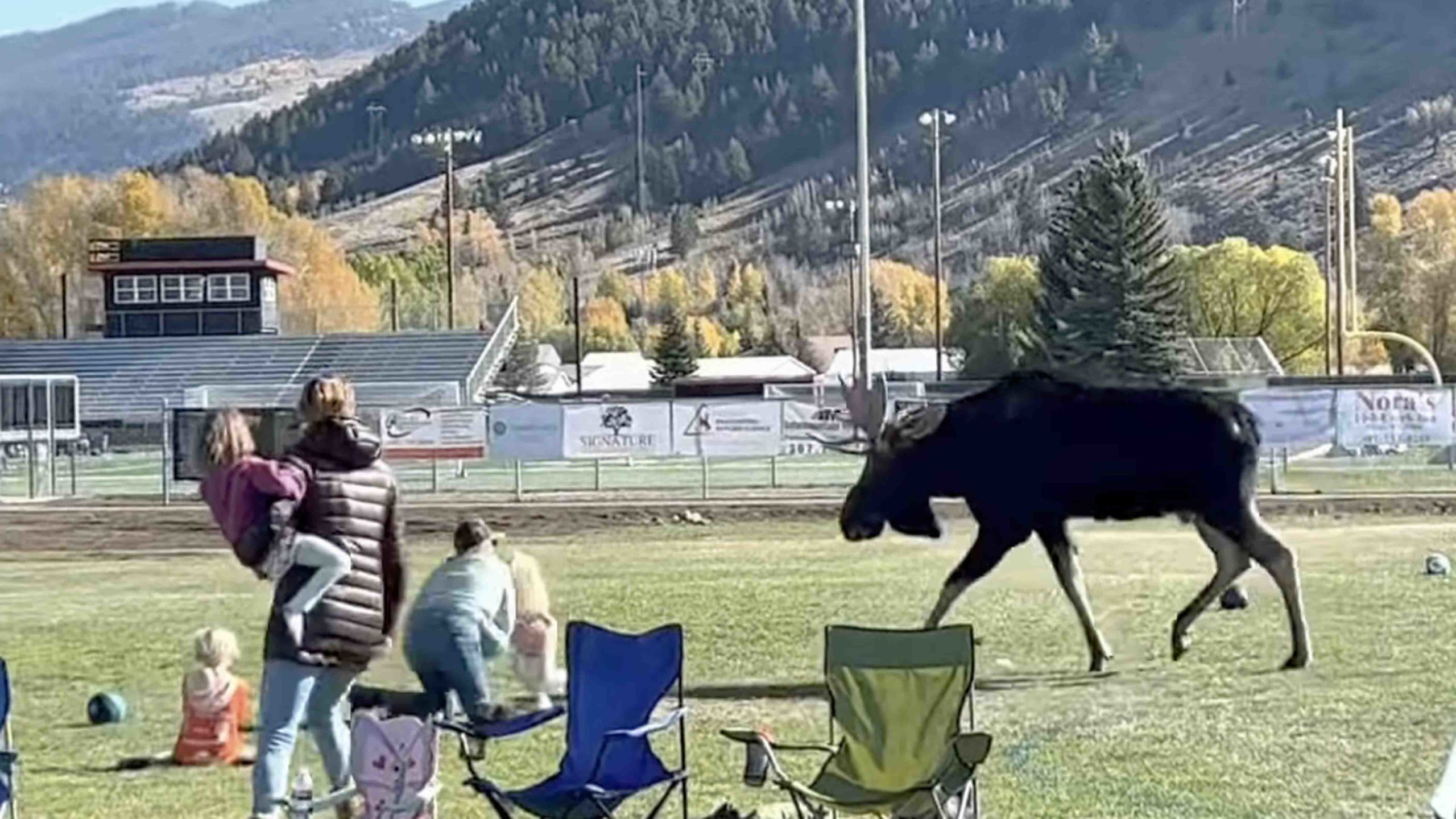 Soccer moose 2 10 18 22 scaled