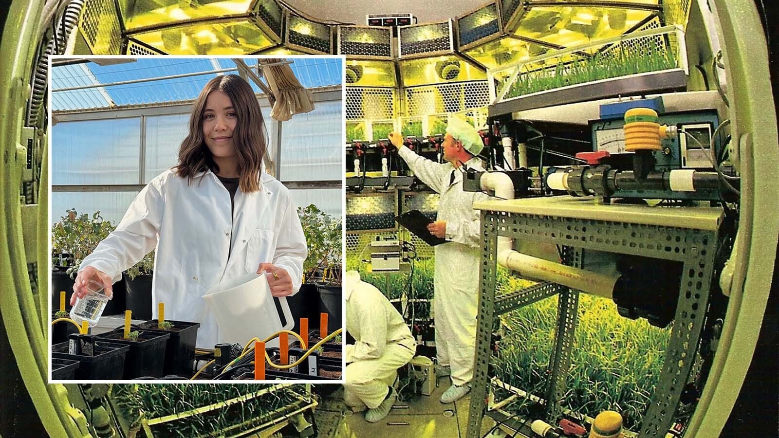 Drea Hineman, a senior from Gillette majoring in plant production and protection in the UW Department of Plant Sciences, inset, recently earned regional recognition at a Spacepoint symposium, dubbed Interplanetary Life, in Boise, Idaho, for her innovative space-farming research supported by NASA. Here, she tends to plants undergoing a salinity trial at the Laramie Research and Extension Center greenhouse.