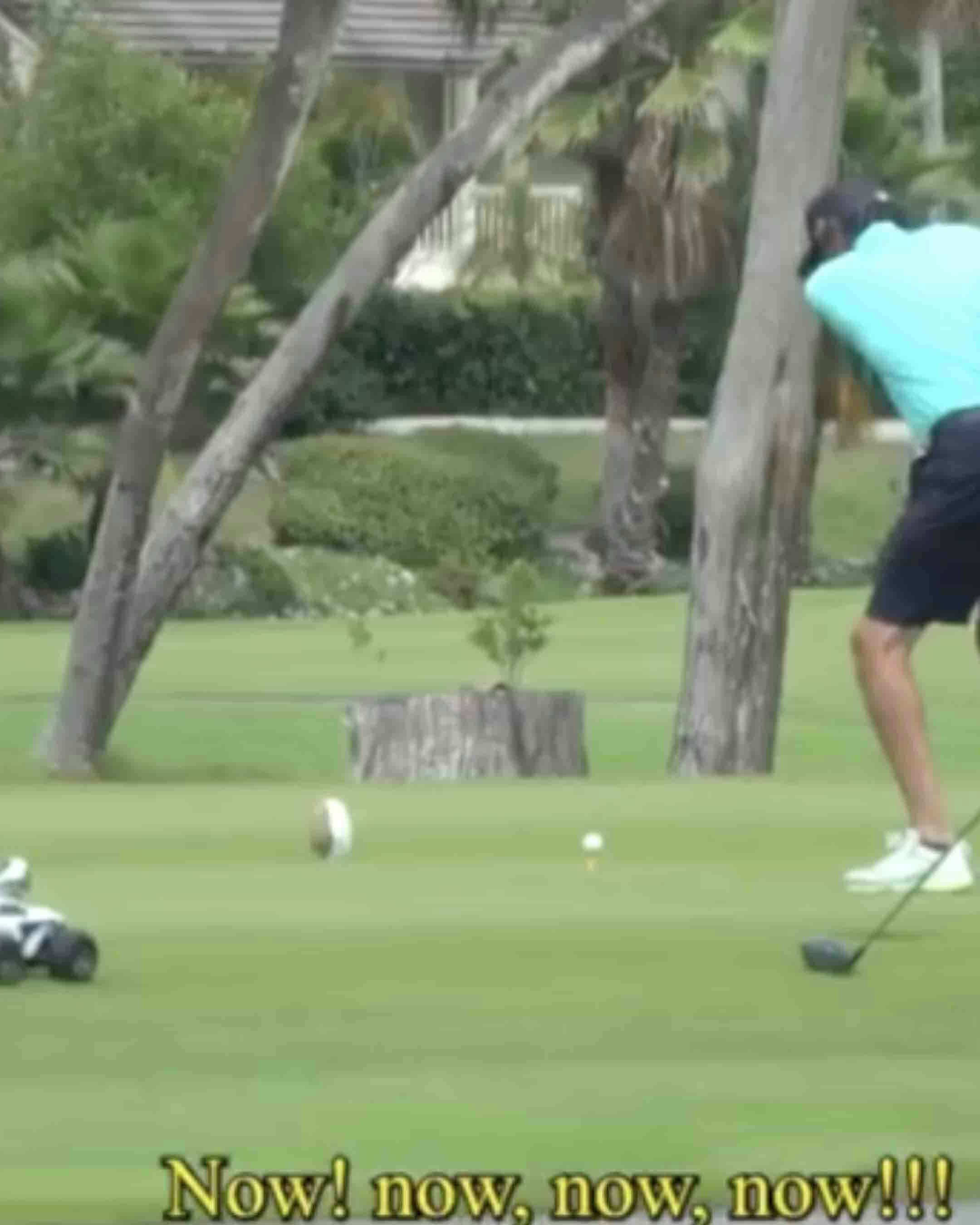 Sports no play 12 14 24