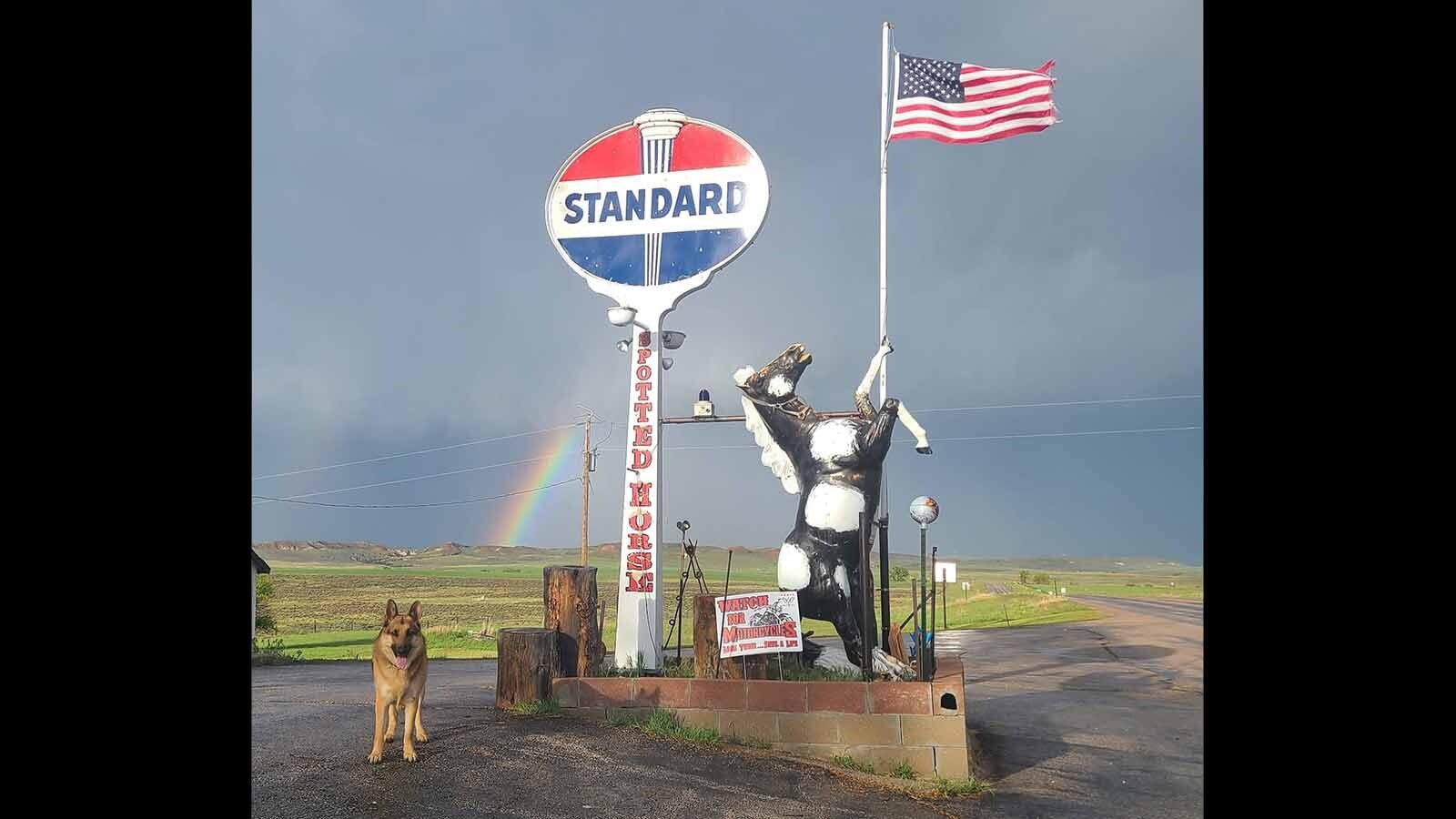 The family dog, Mac, with a rainbow in the background at the Spotted Horse Bar and Grill near Recluse, Wyoming.