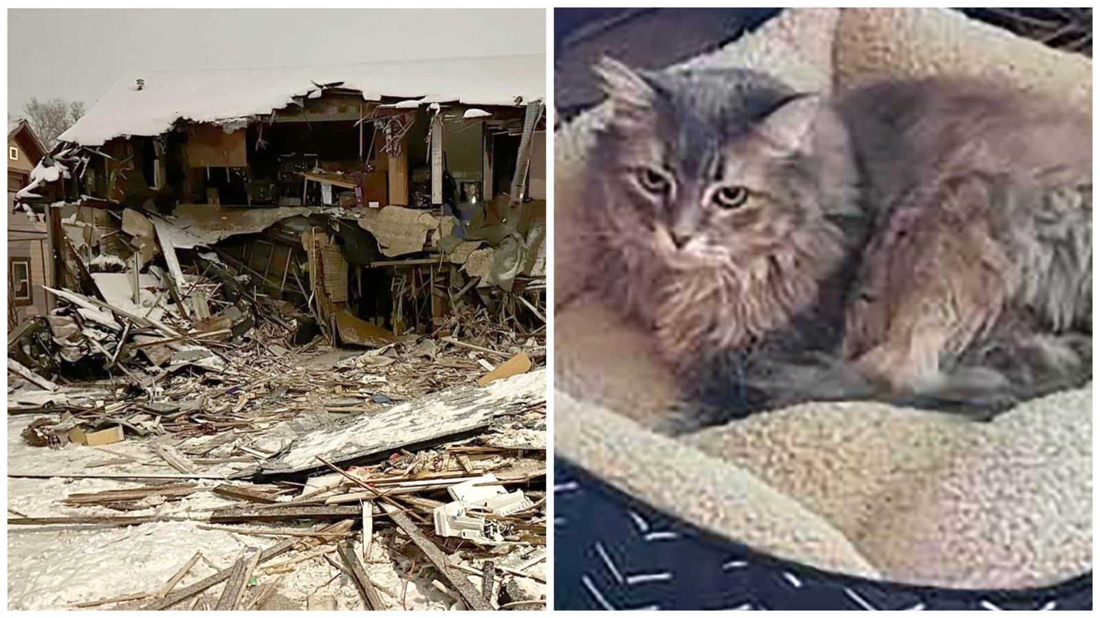 Standoff house and cat 2 21 24