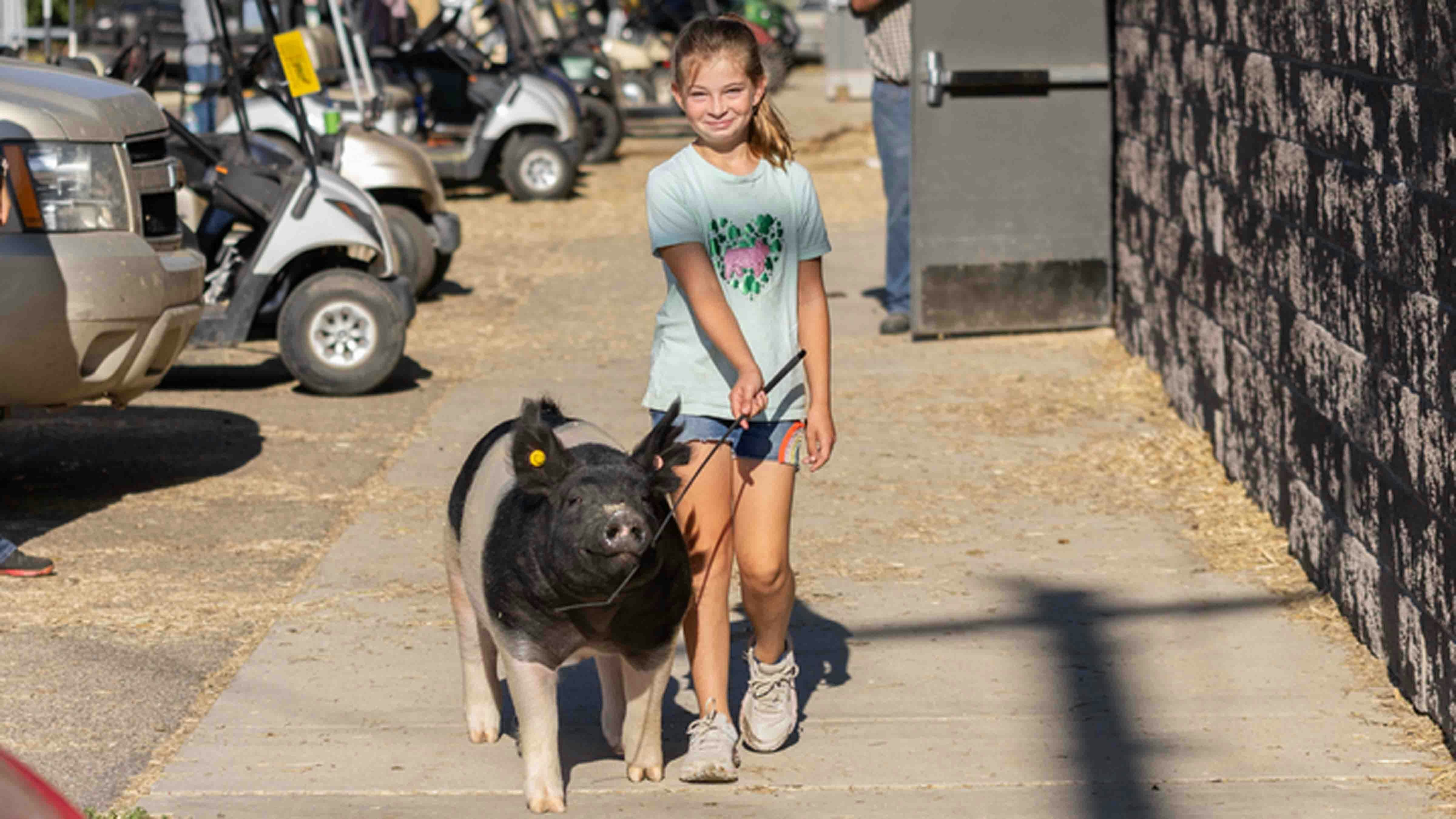 Lacy Anderson from Riverton exercises her pig named Izzy at the Wyoming State Fair on August 16, 2024, in Douglas, Wyoming.