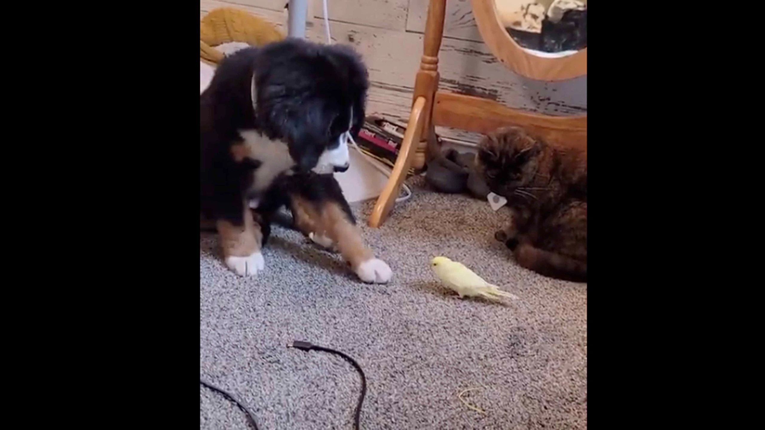 Still here no play 9 27 22 scaled