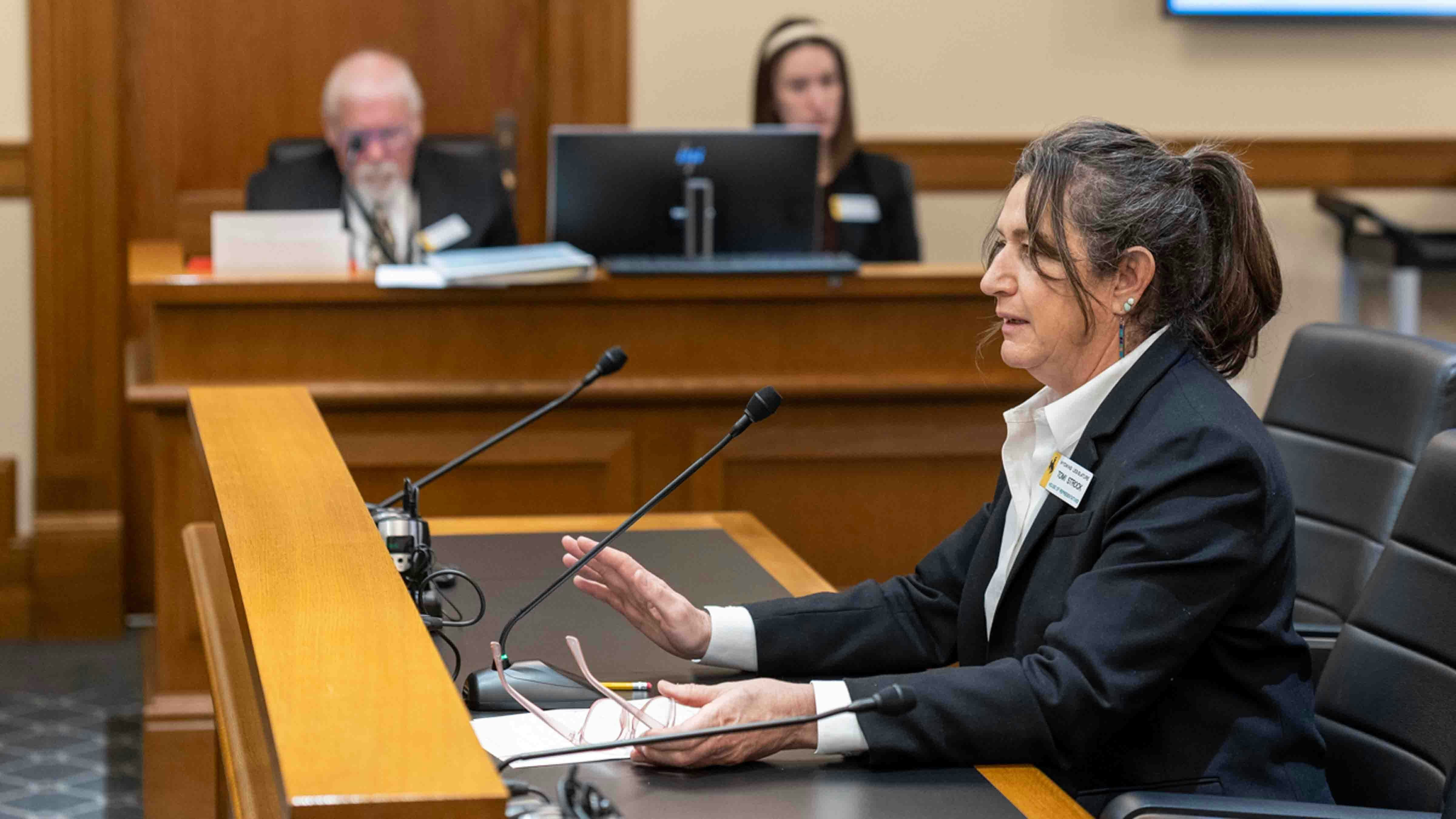 Rep. Tomi Strock, R-Douglas, discusses her bill that would investigate data center water use