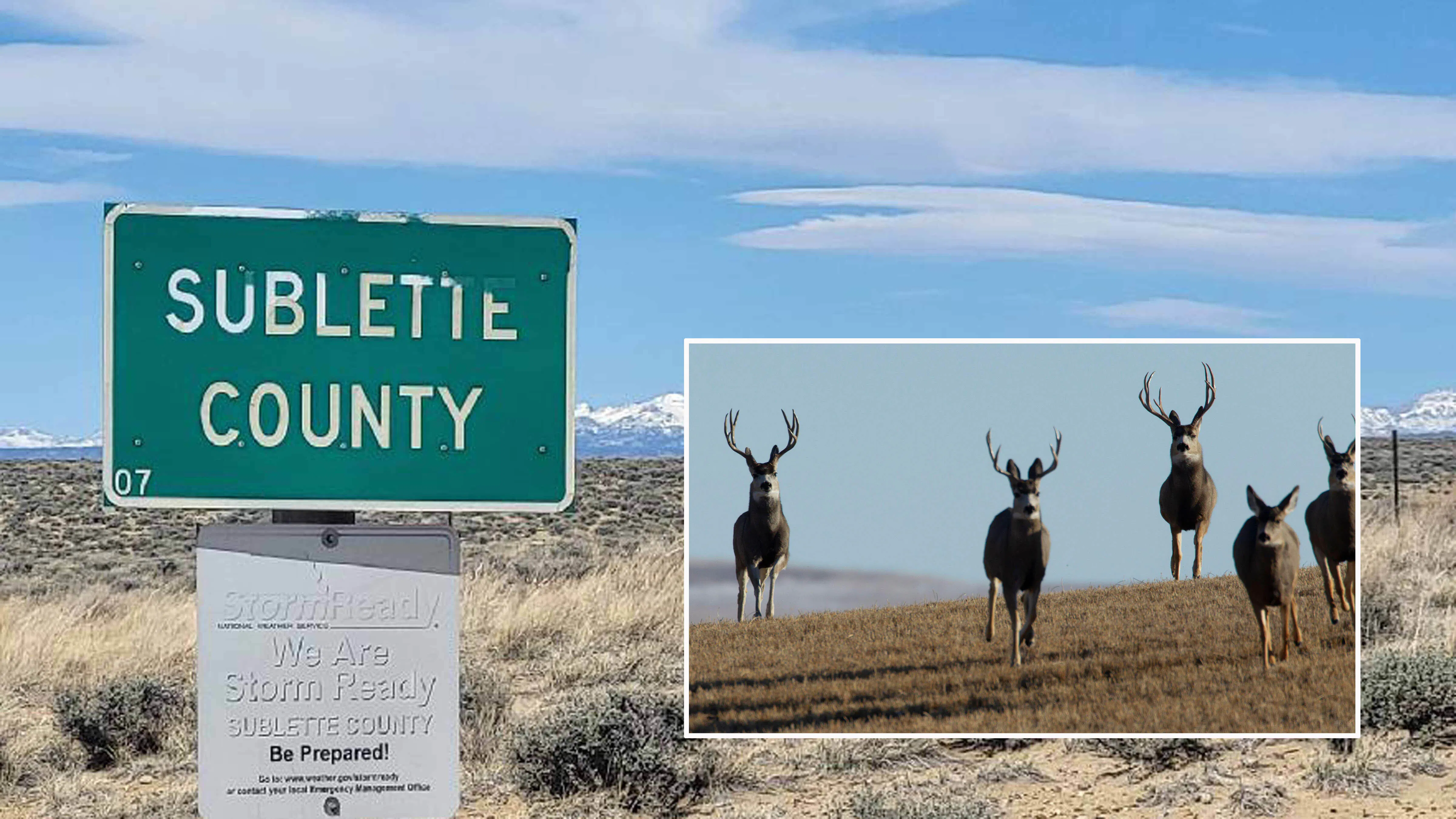 Sublette County residents came out mostly against a proposed 18-mile mountain bike trail network near Pinedale on Tuesday, telling the county commission it would harm a vital migration route for the prized Sublette mule deer herd.