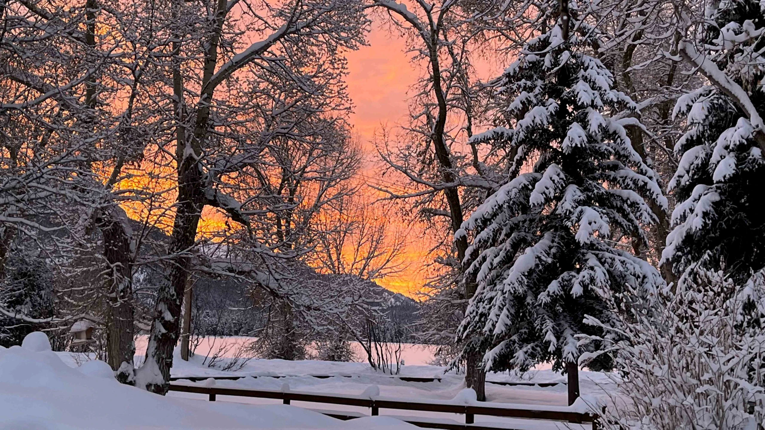 Sunrise 1 1 17 23 v2 scaled