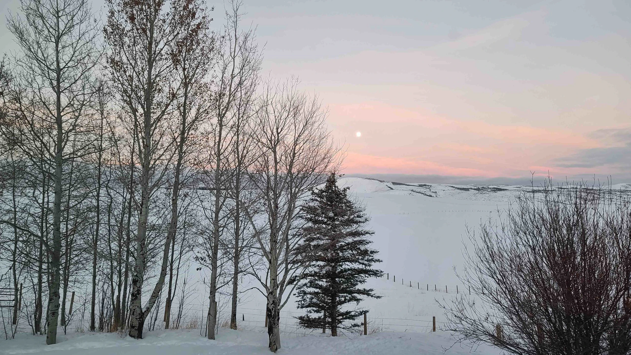 Sunrise 1 19 23 scaled