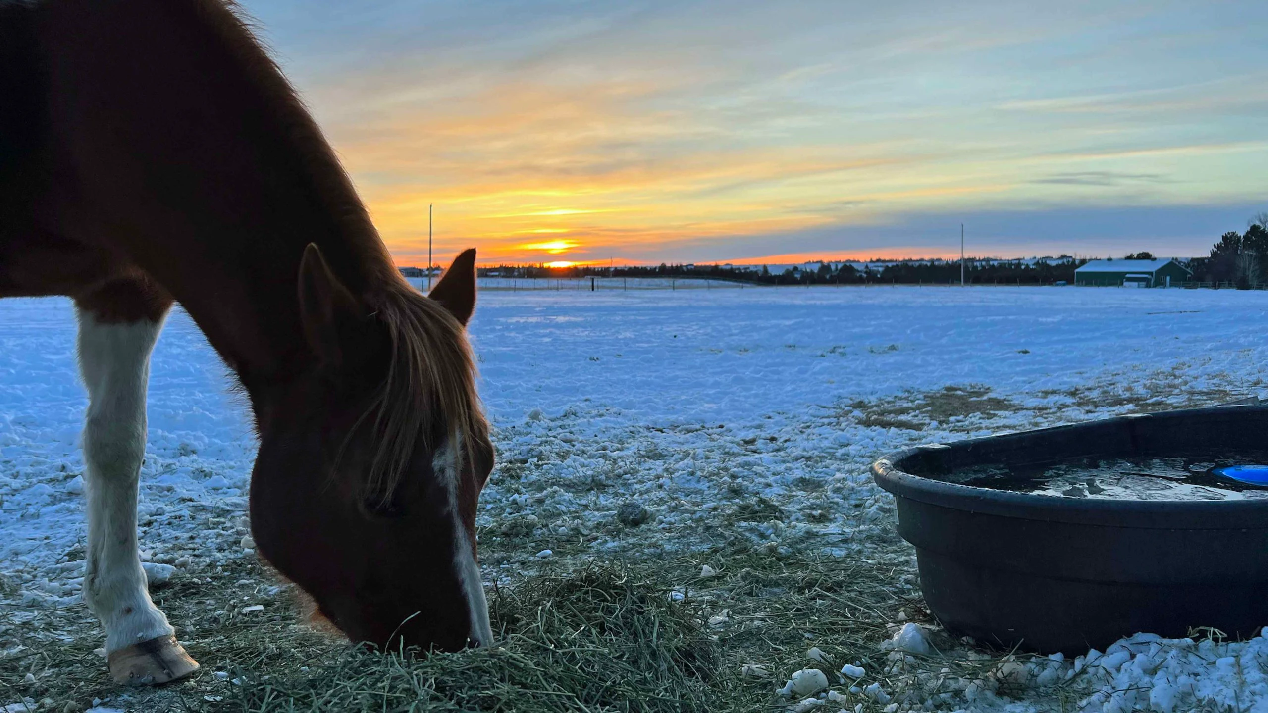 Sunrise 1 22 23 scaled