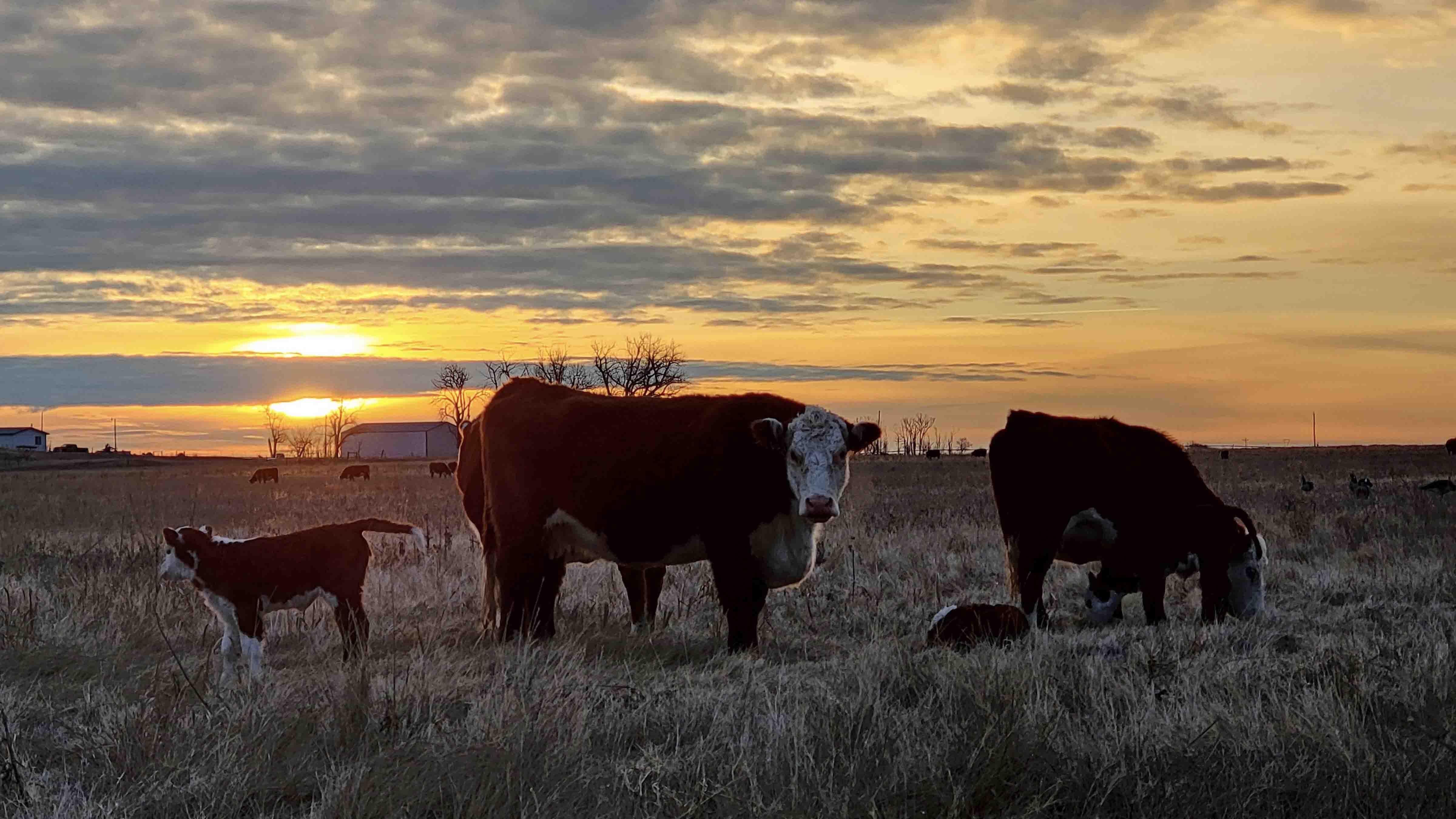 Your Wyoming Sunrise Saturday January 27 2024 Cowboy State Daily   Sunrise 1 27 24 