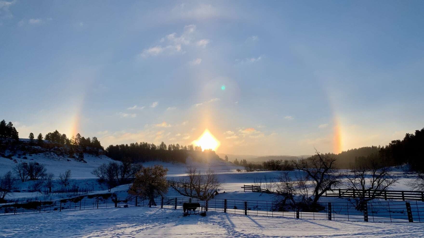 "It was really cold the other morning feeding my show cattle, but this view was worth it!" Alva, WY