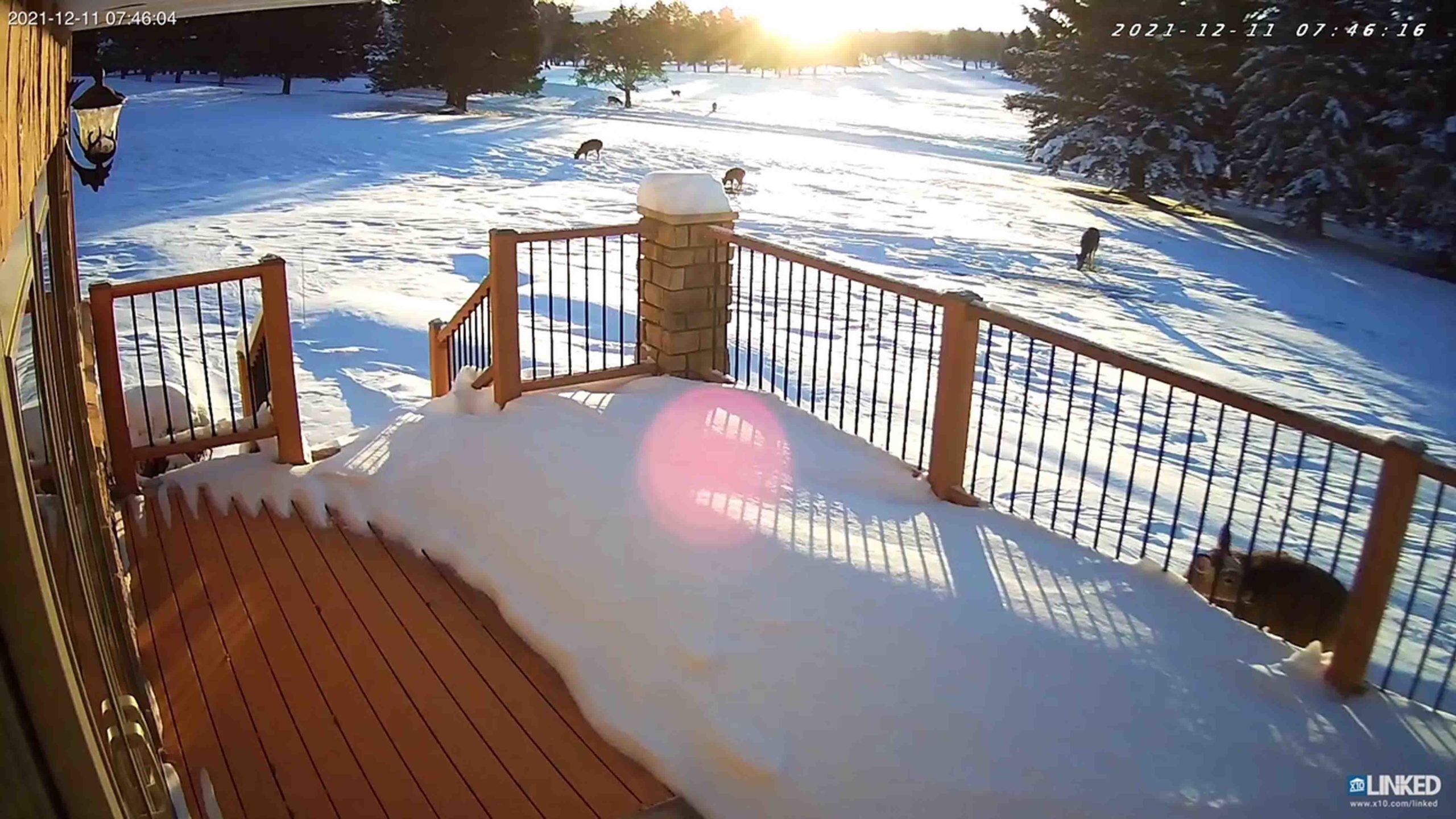 Sunrise 1 6 22 scaled