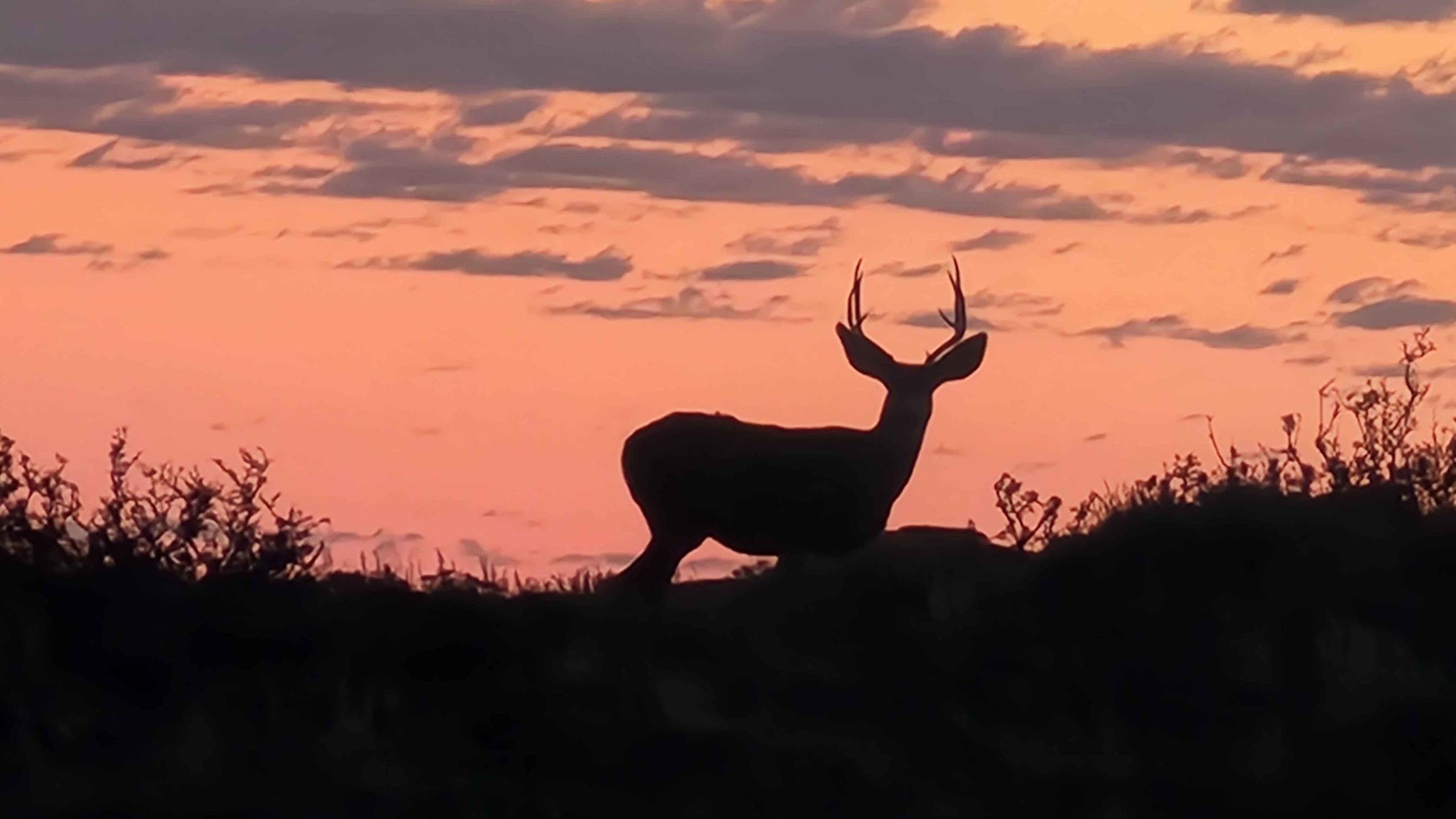 Sunrise 10 14 22 scaled