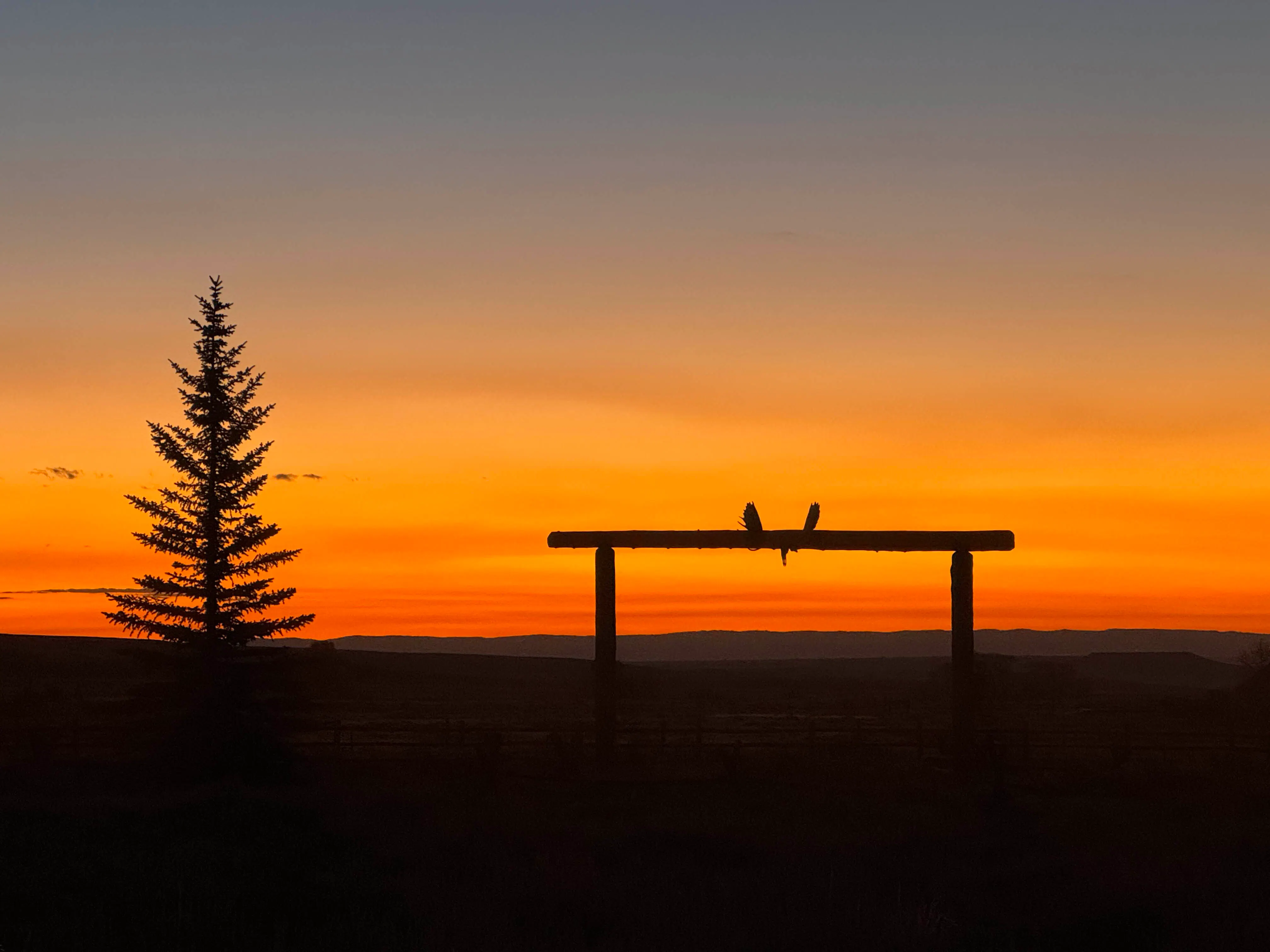 Centennial Valley Sunrise